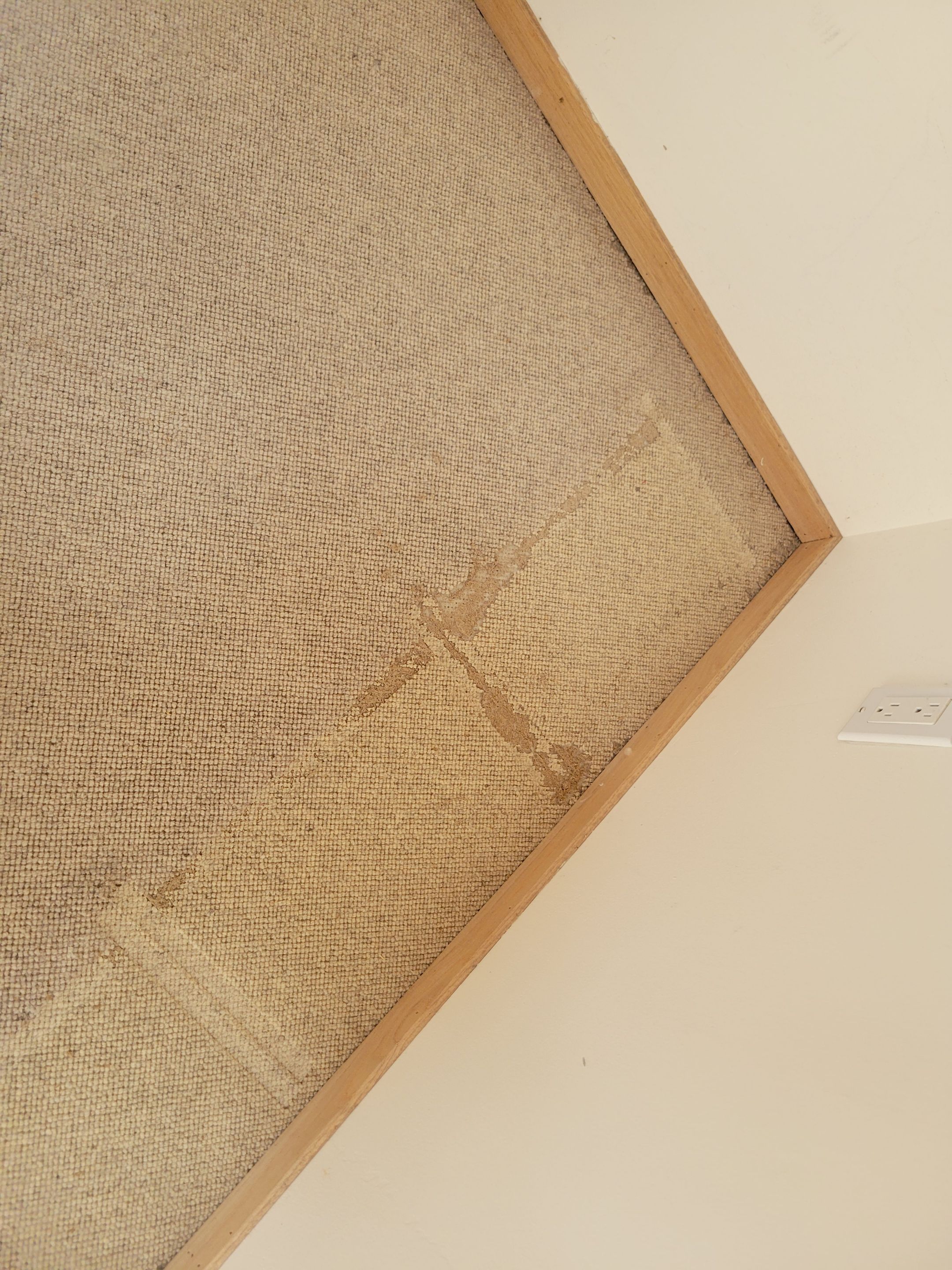 Repair and Cleaning of Wool Carpeting by Ardent Carpet Restore LLC