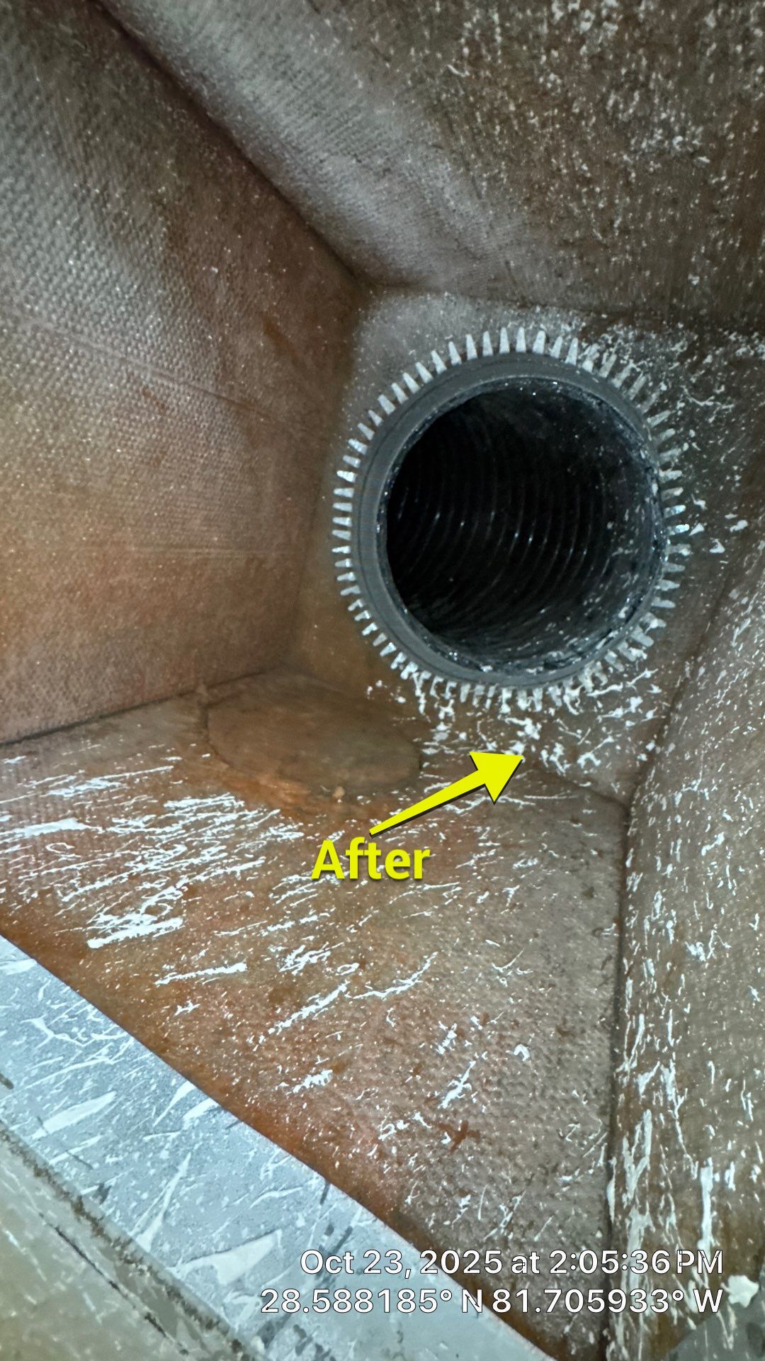 AIr Duct and Dryer Vent Cleaning in Montverde by Hygienic Air, Inc