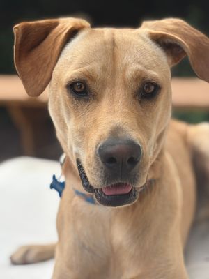 Whitney Test Showcawse