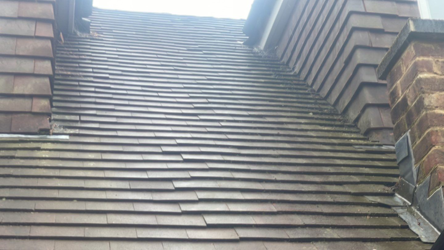 Roof Clean - Biocide Treatment using Honda 15lpm Low Pressure Washing Machine by Ges Exterior Cleaning ltd