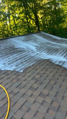 Project in Richmond