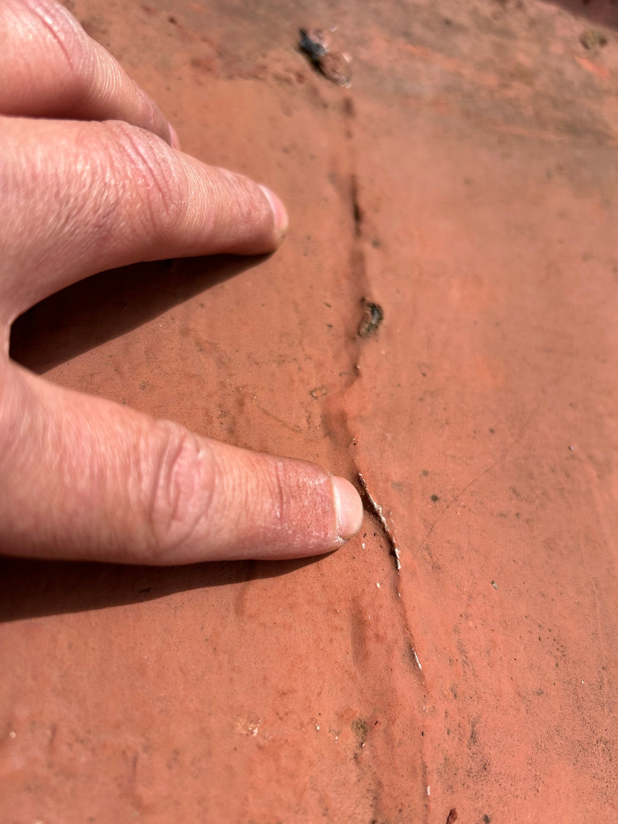 Alexandra: Residential Metal Roofing  by RM Banning, Inc.