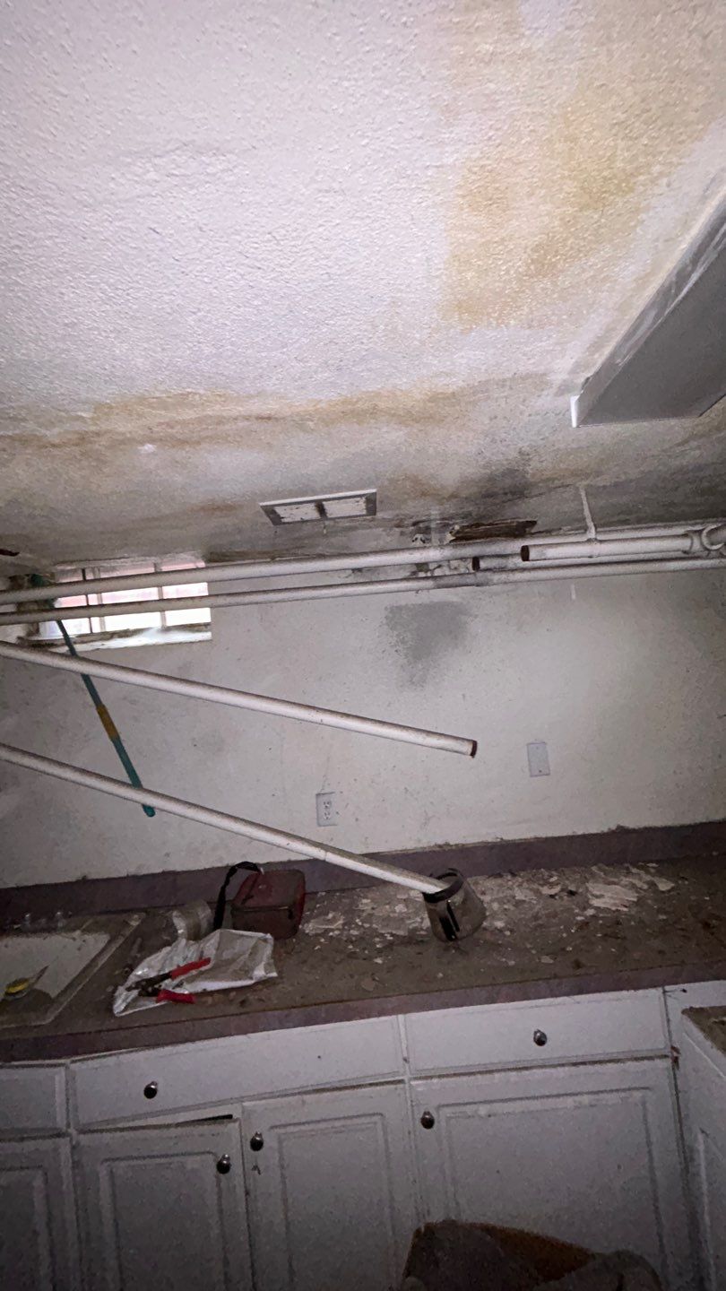 Mold Remediation by Accountable Home Services