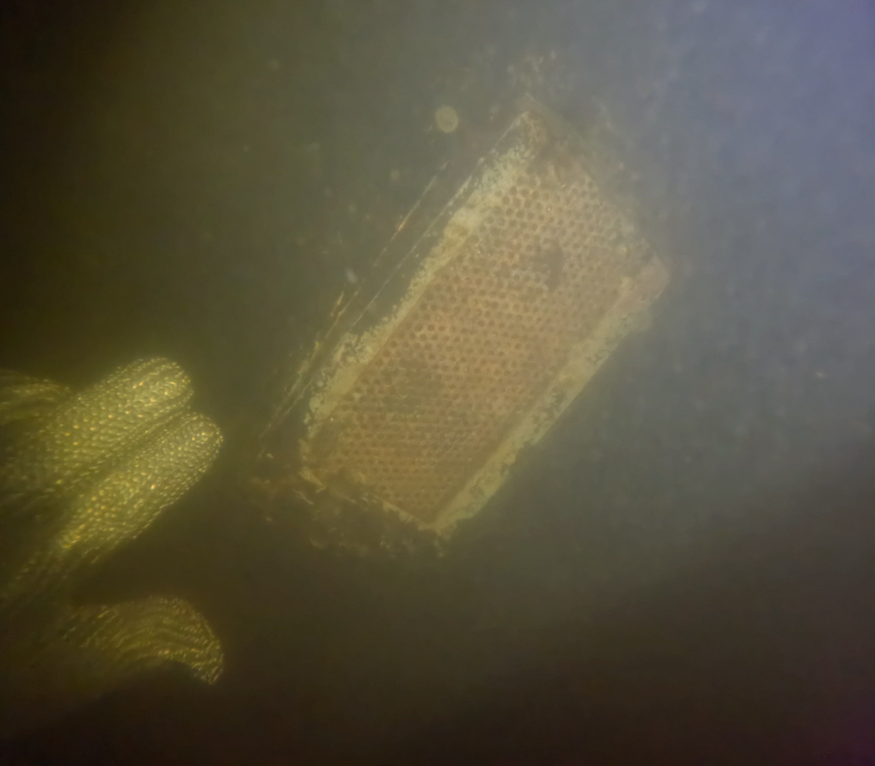 Project in North Fort Myers, FL by Florida Hull Cleaning 