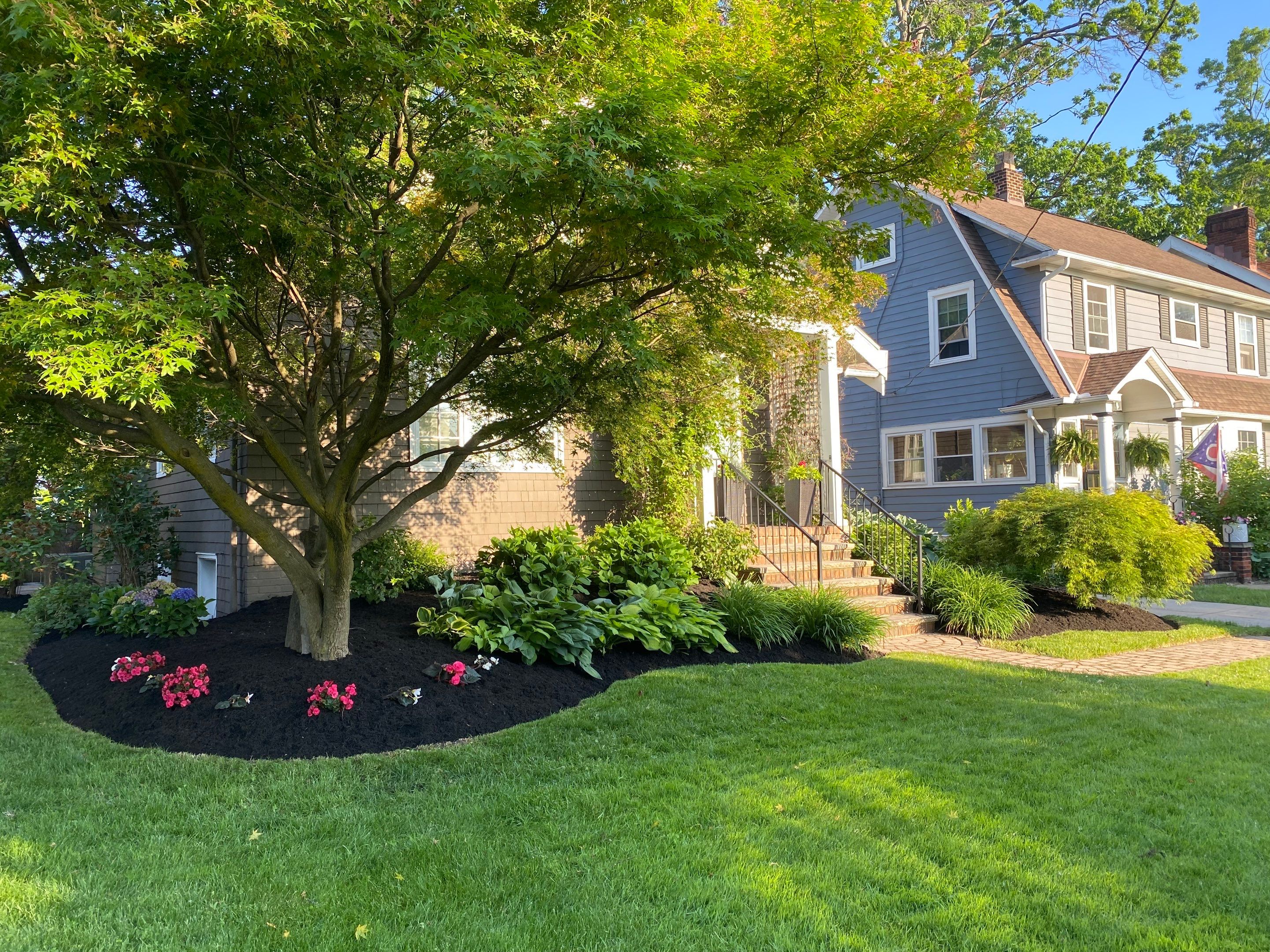 Pollinator Paradise Project by Elm Rose Gardens