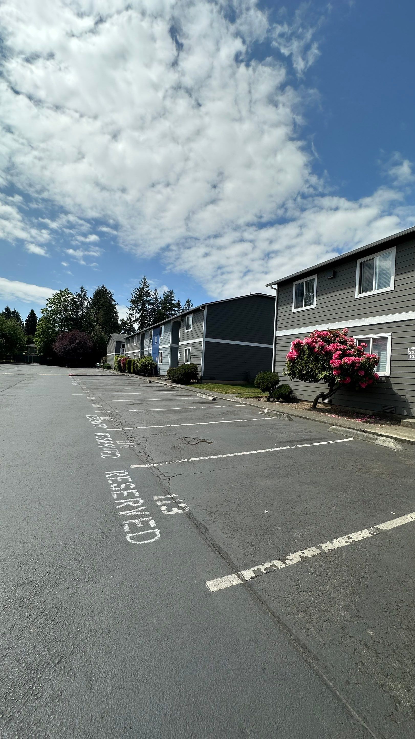 Chaz | Driveway Repave, Asphalt Project  by Jireh Asphalt & Concrete Inc 