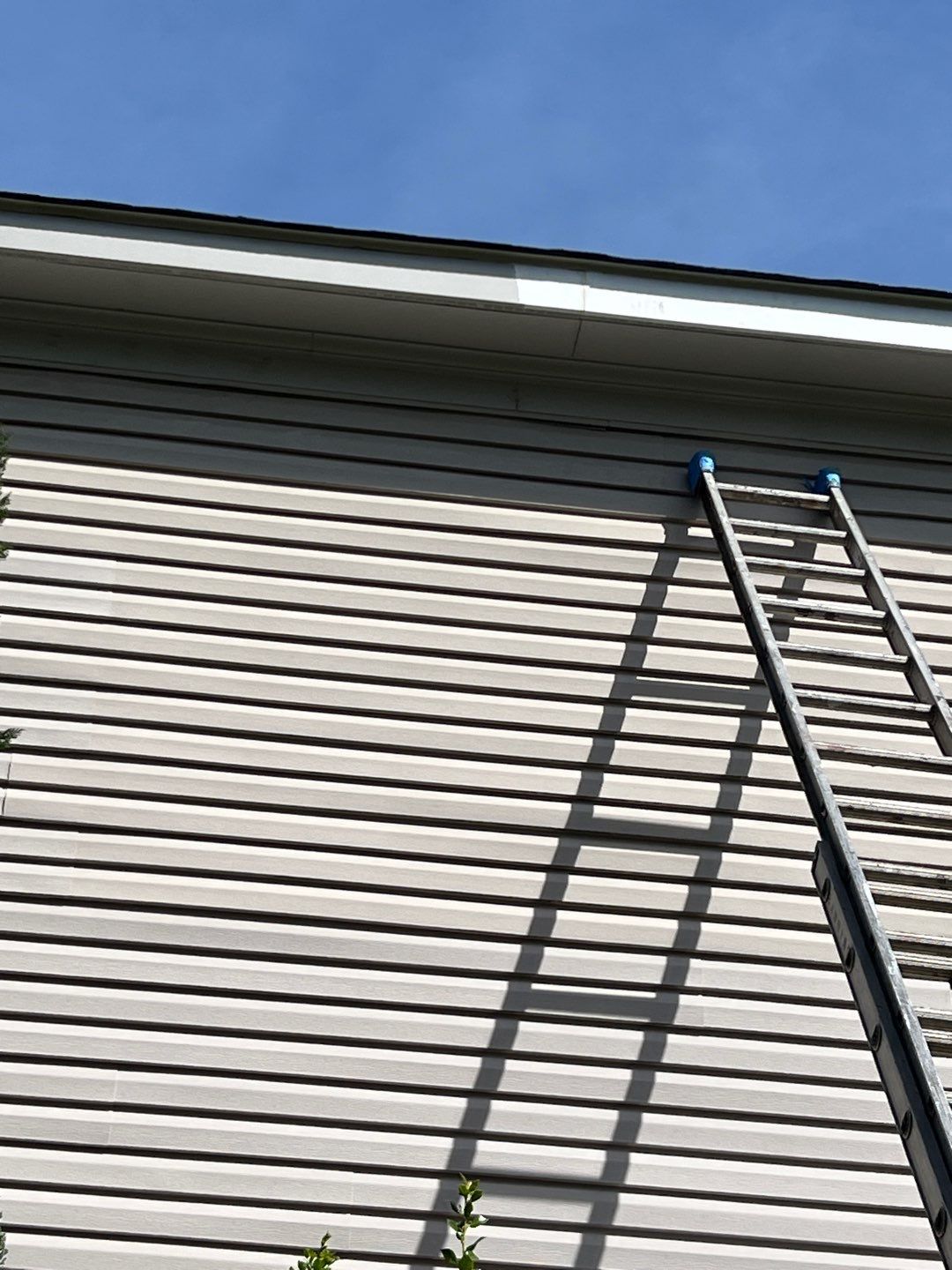 Springfield: CertainTeed Landmark Pro Designer Shingles in Max Def Moire Black by RM Banning, Inc.