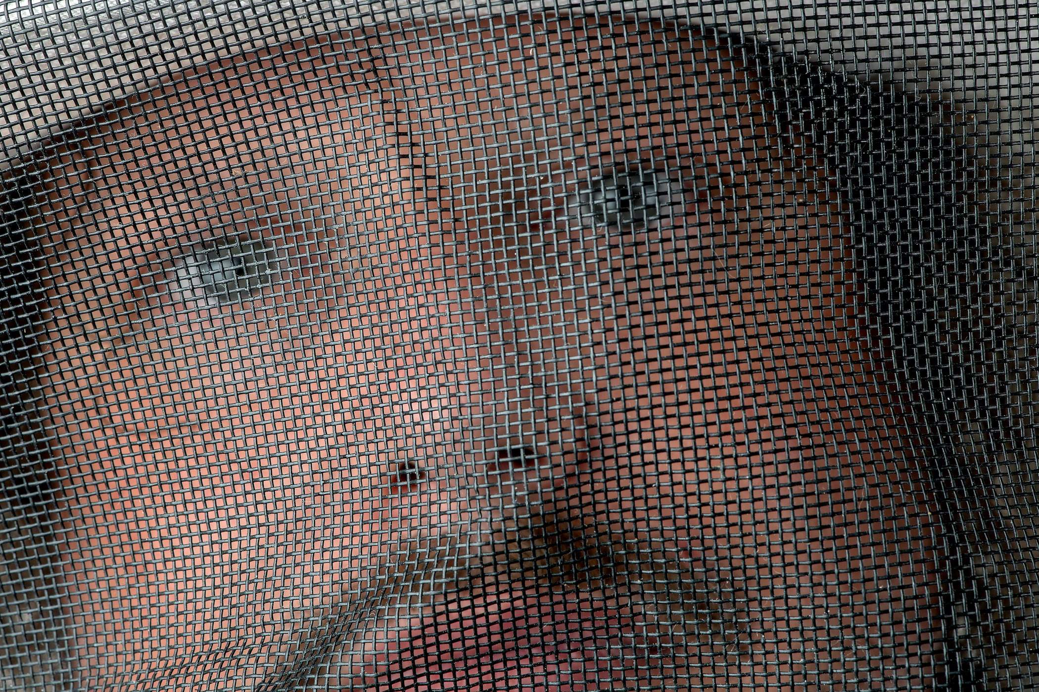 Rockwall Honey Bee Company HQ by Rockwall Honey Bee Company