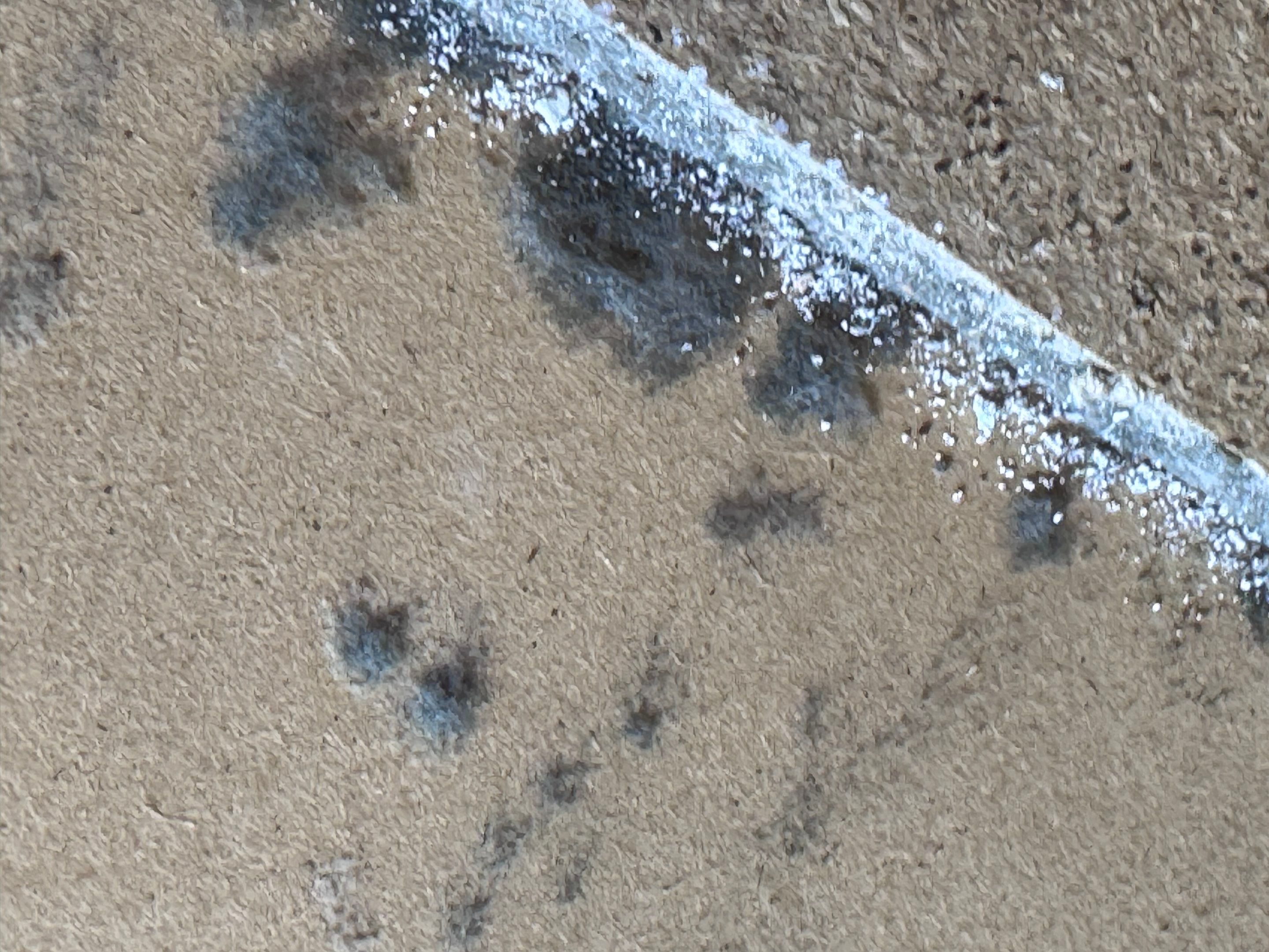Mold Remediation in Muskego by Dry Source Property Restoration