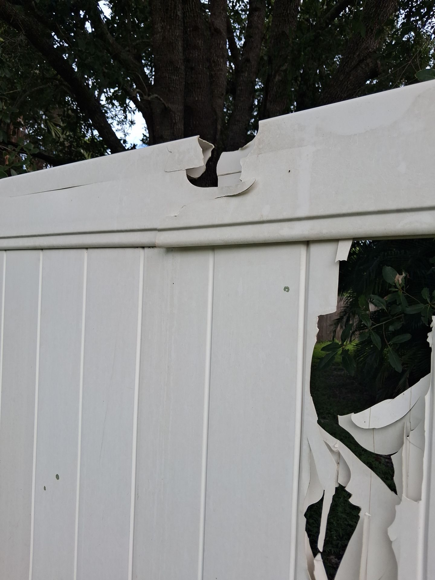 White Vinyl Privacy Fence Repair and Gate Installation in North Port by True Fence LLC