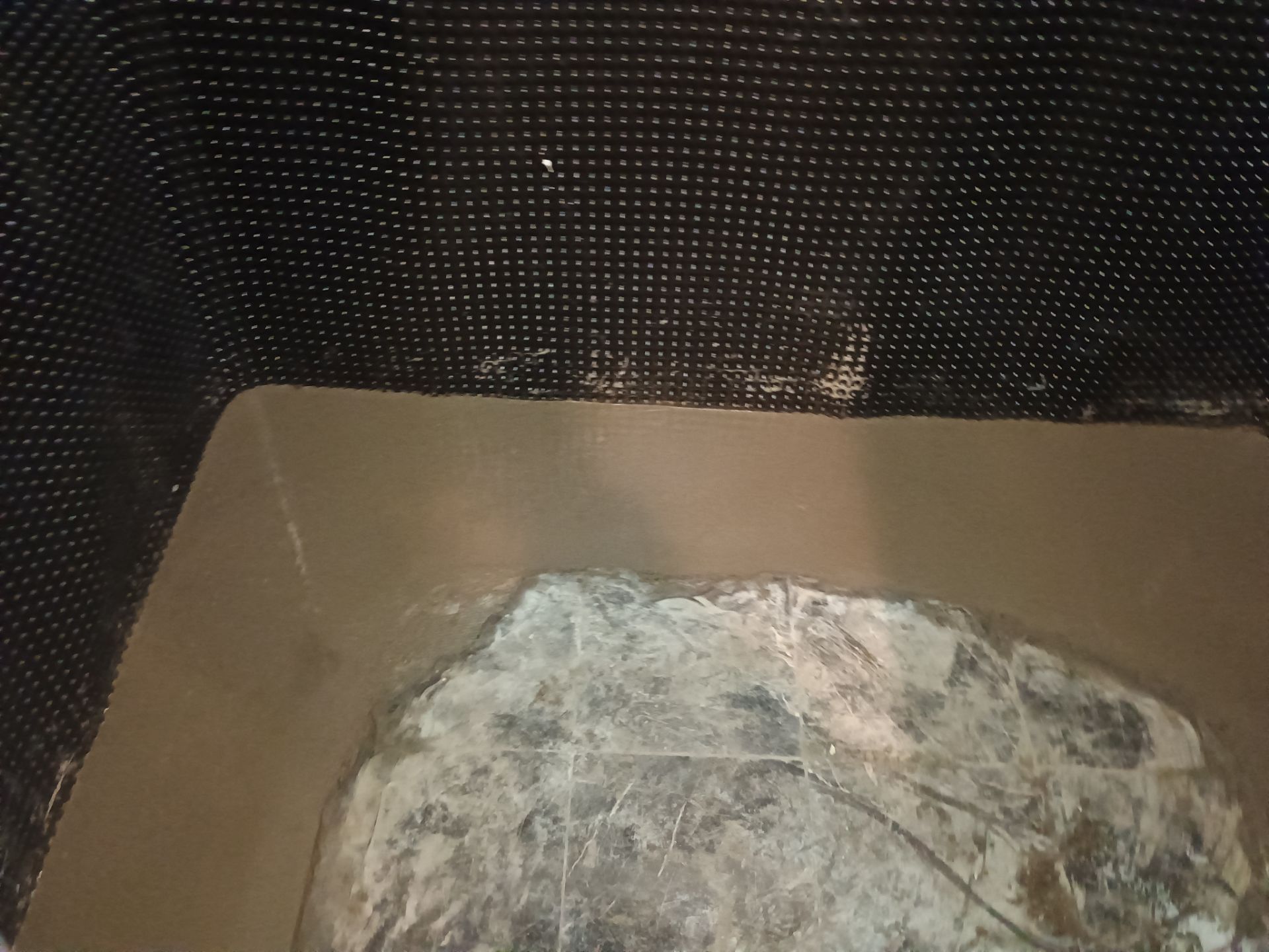 Investigating Groundwater Issues for RJ & Sally by Waterproofing Northeast