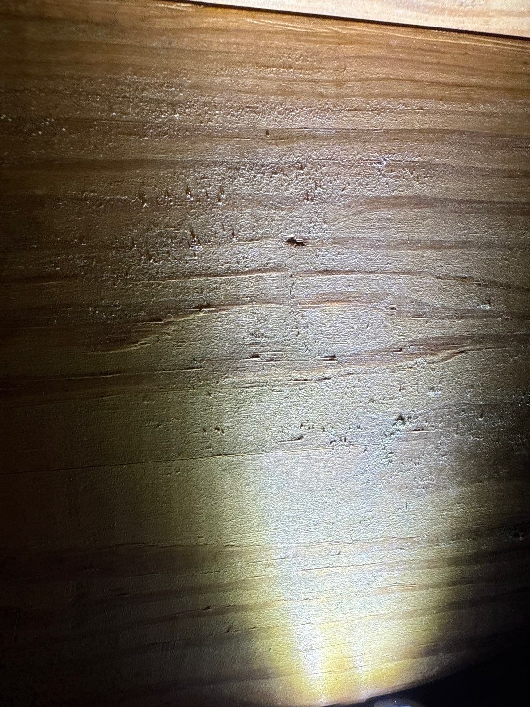 Post‑Remediation Clearance Test & Corrective Mold Remediation, Dover, DE. by Healthy Home Solutions