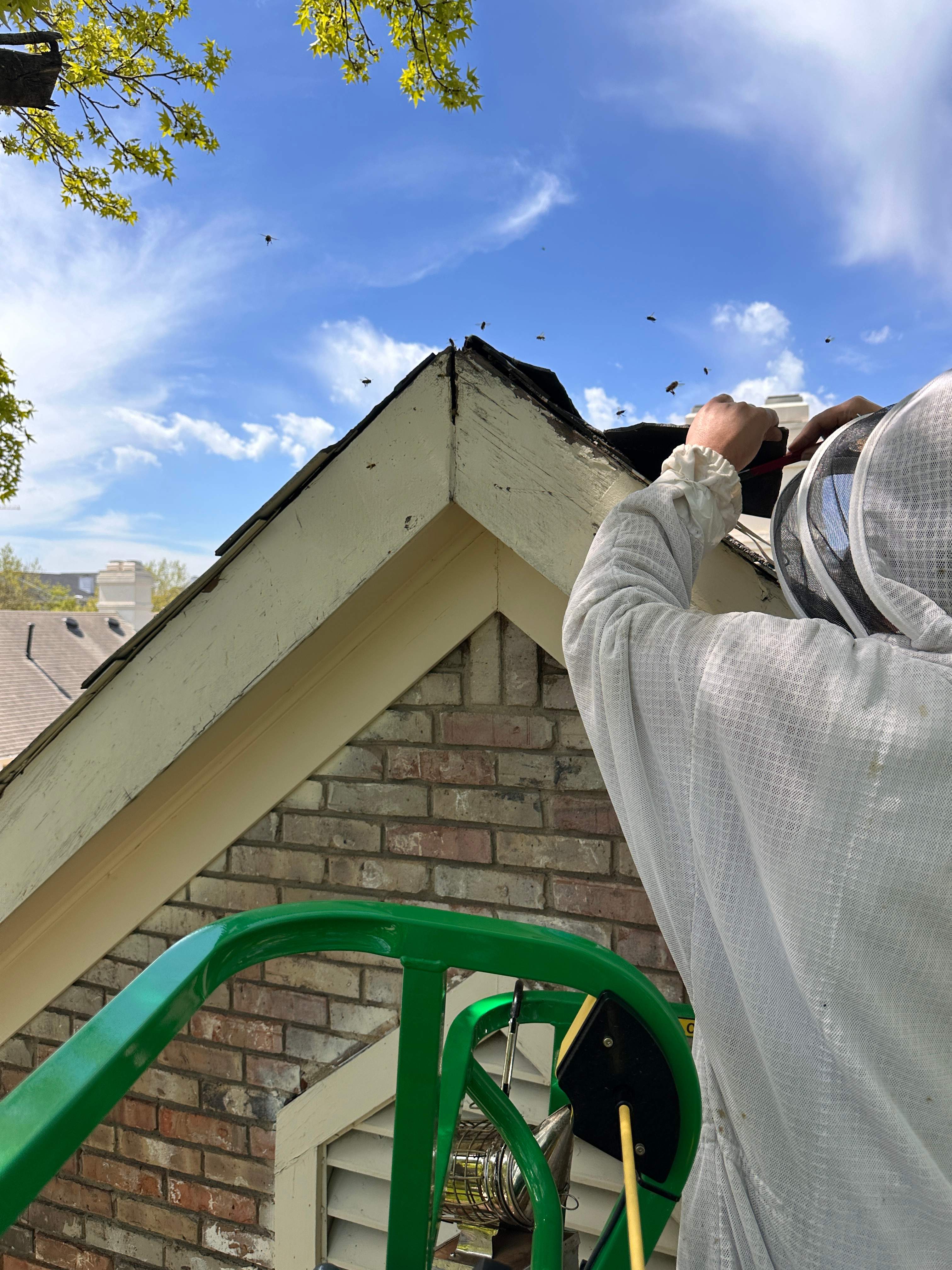 Commercial Roof by Rockwall Honey Bee Company