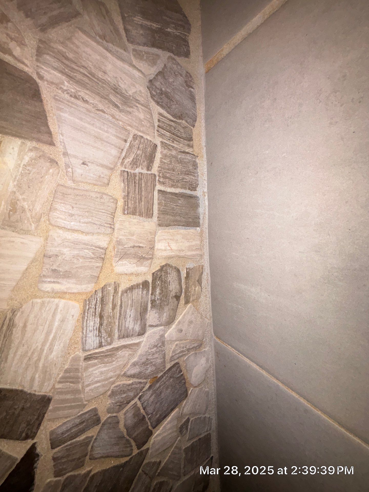 Mold Remediation In Palmetto by Ampm Restoration Services 