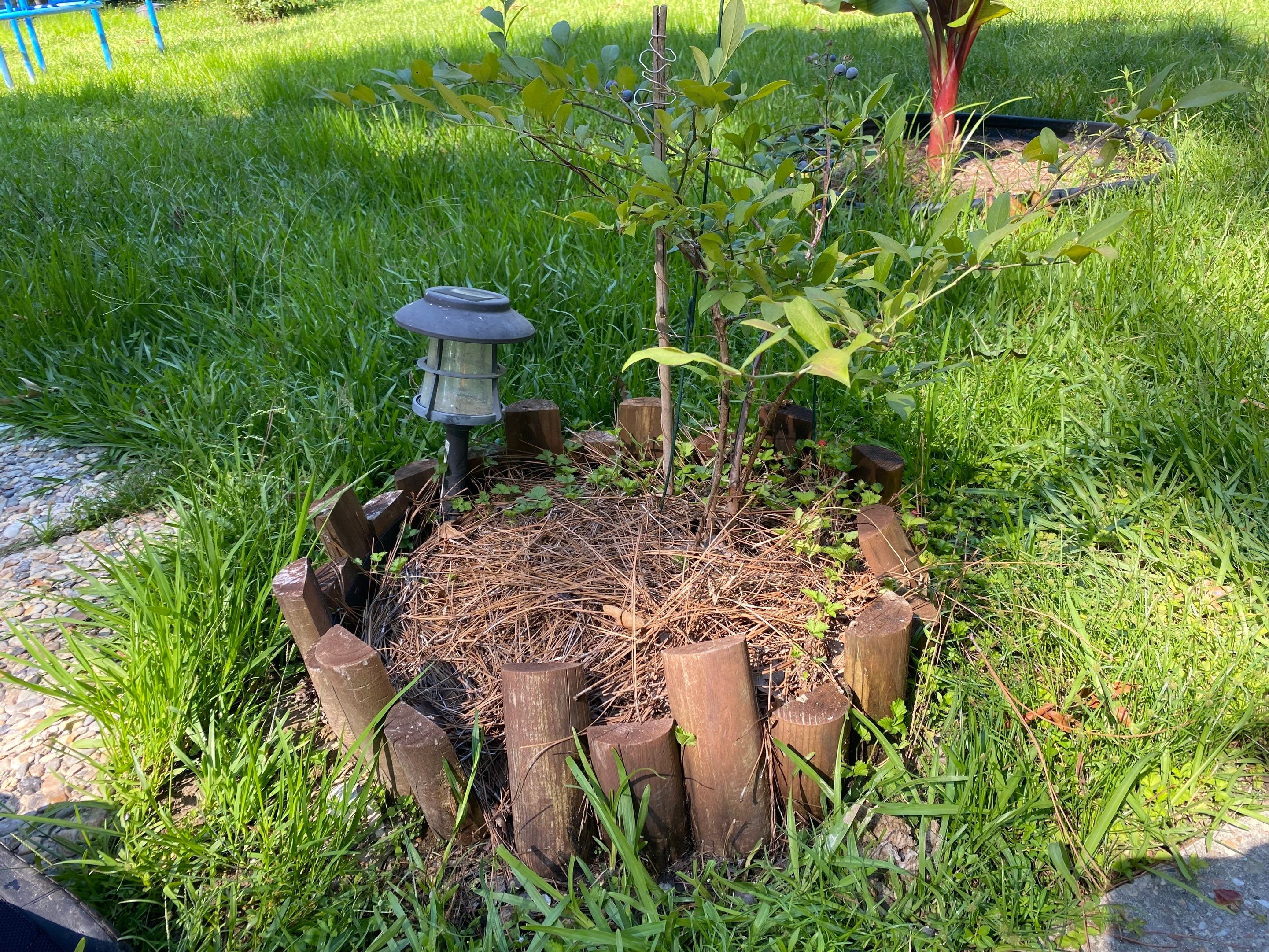 Weekly Landscaping  by College Bros Outdoor services