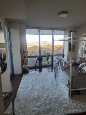 Project in Chicago
