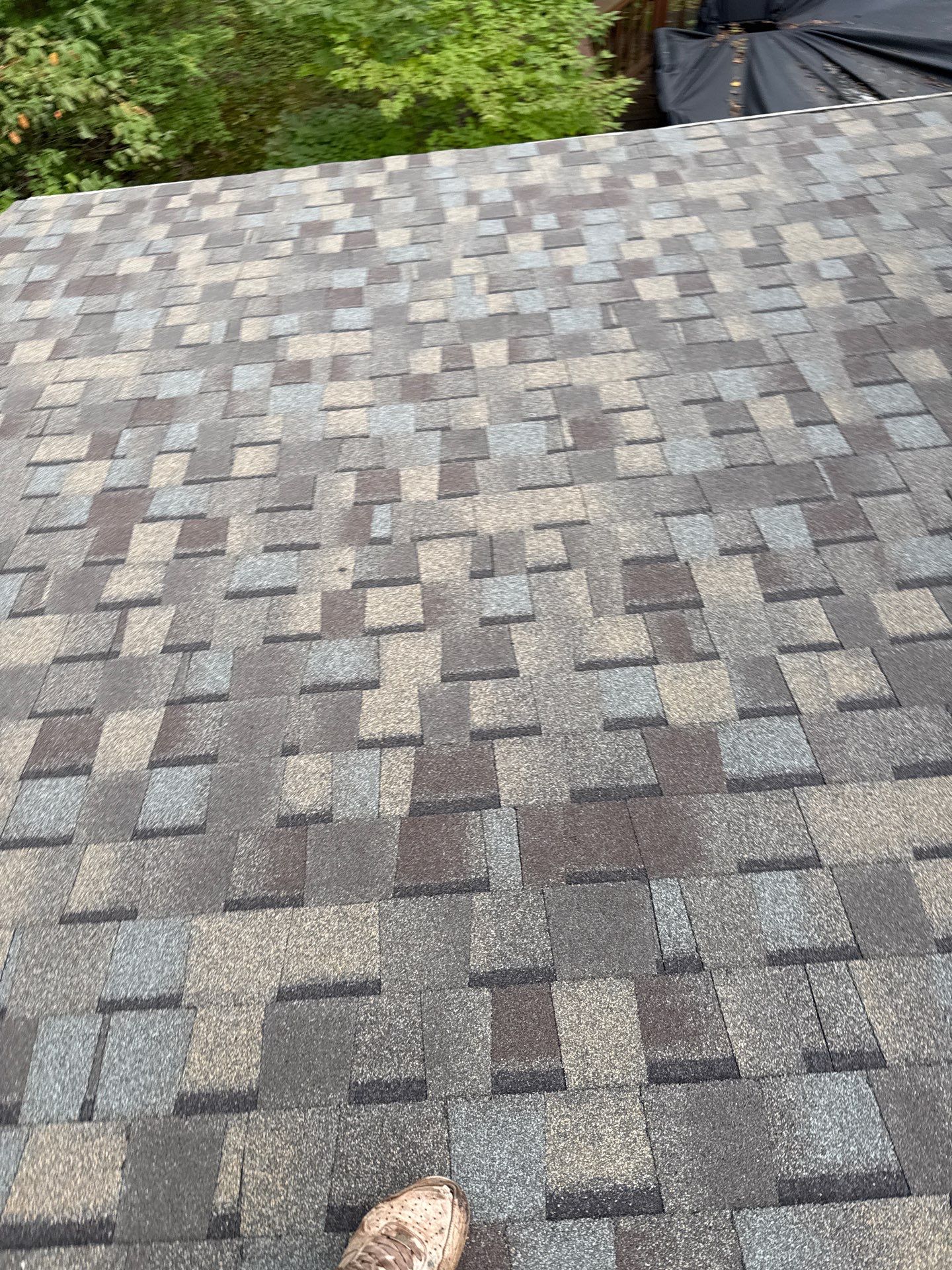 Springfield : Residential Roof Replacement with CertainTeed Landmark Pro in Max Weathered Wood  by RM Banning, Inc.