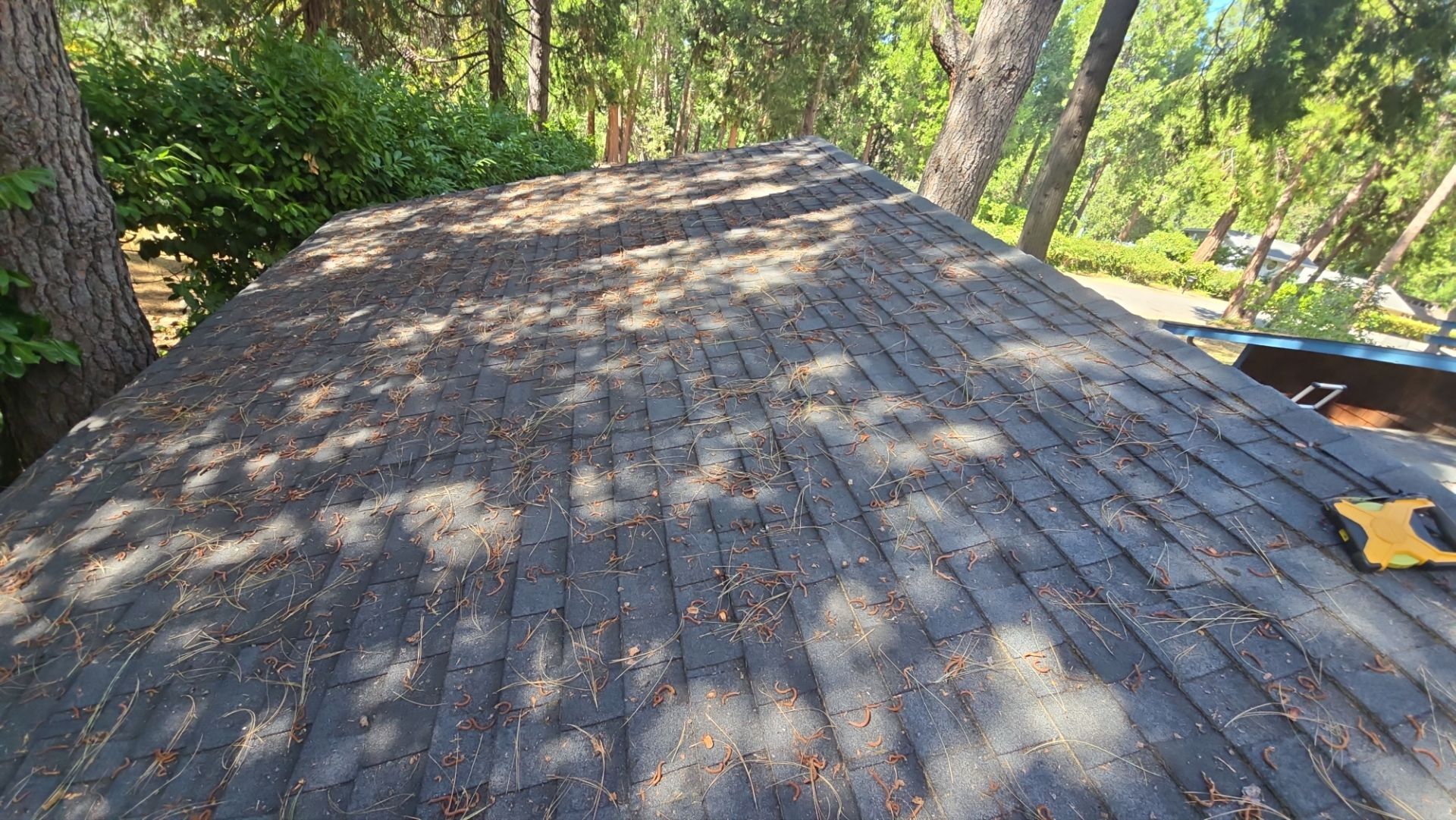 Roof Rejuvenation using Roof Maxx Treatment by Roof Maxx of Folsom