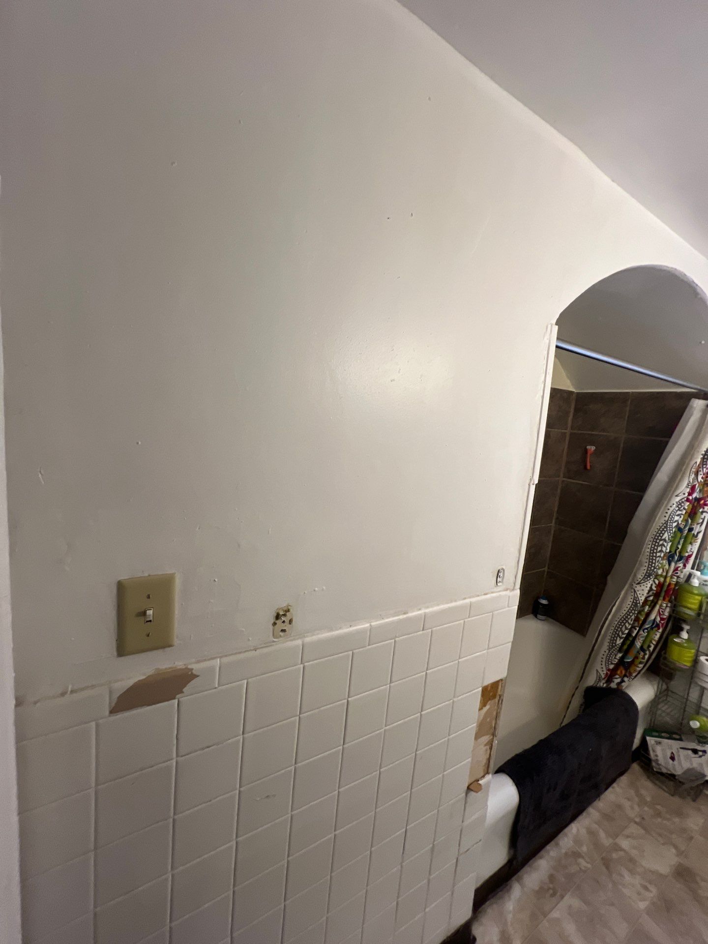 Bathroom Remodel using Bathtub by The Shower Company
