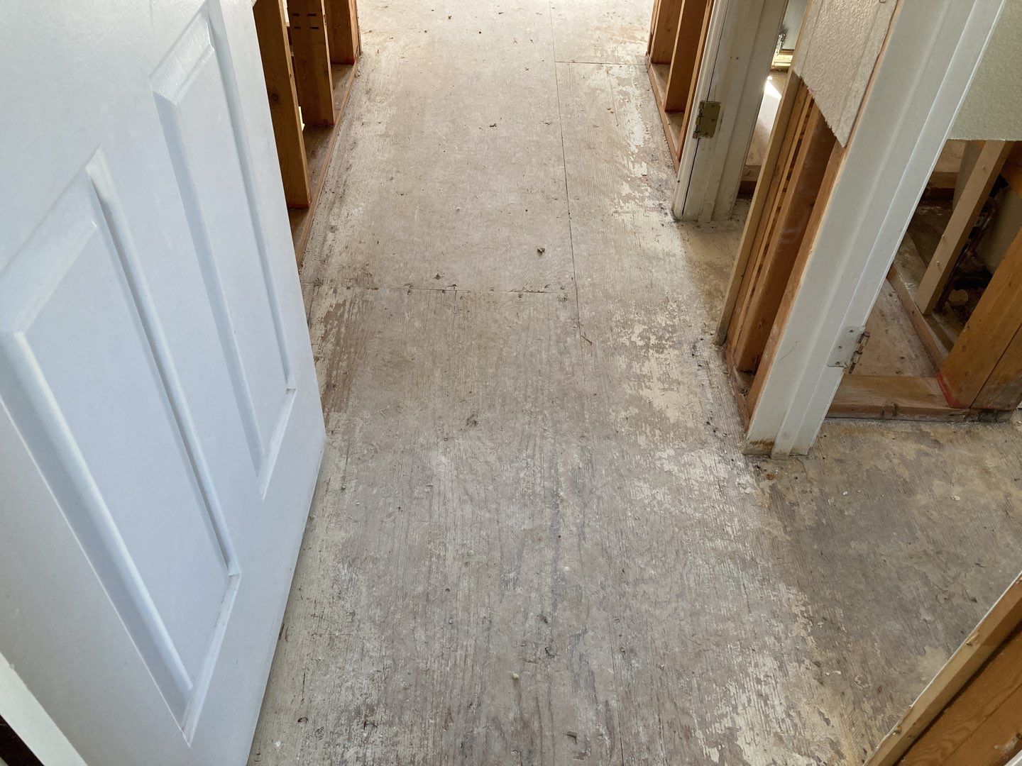 Water Damage  by Accountable Home Services