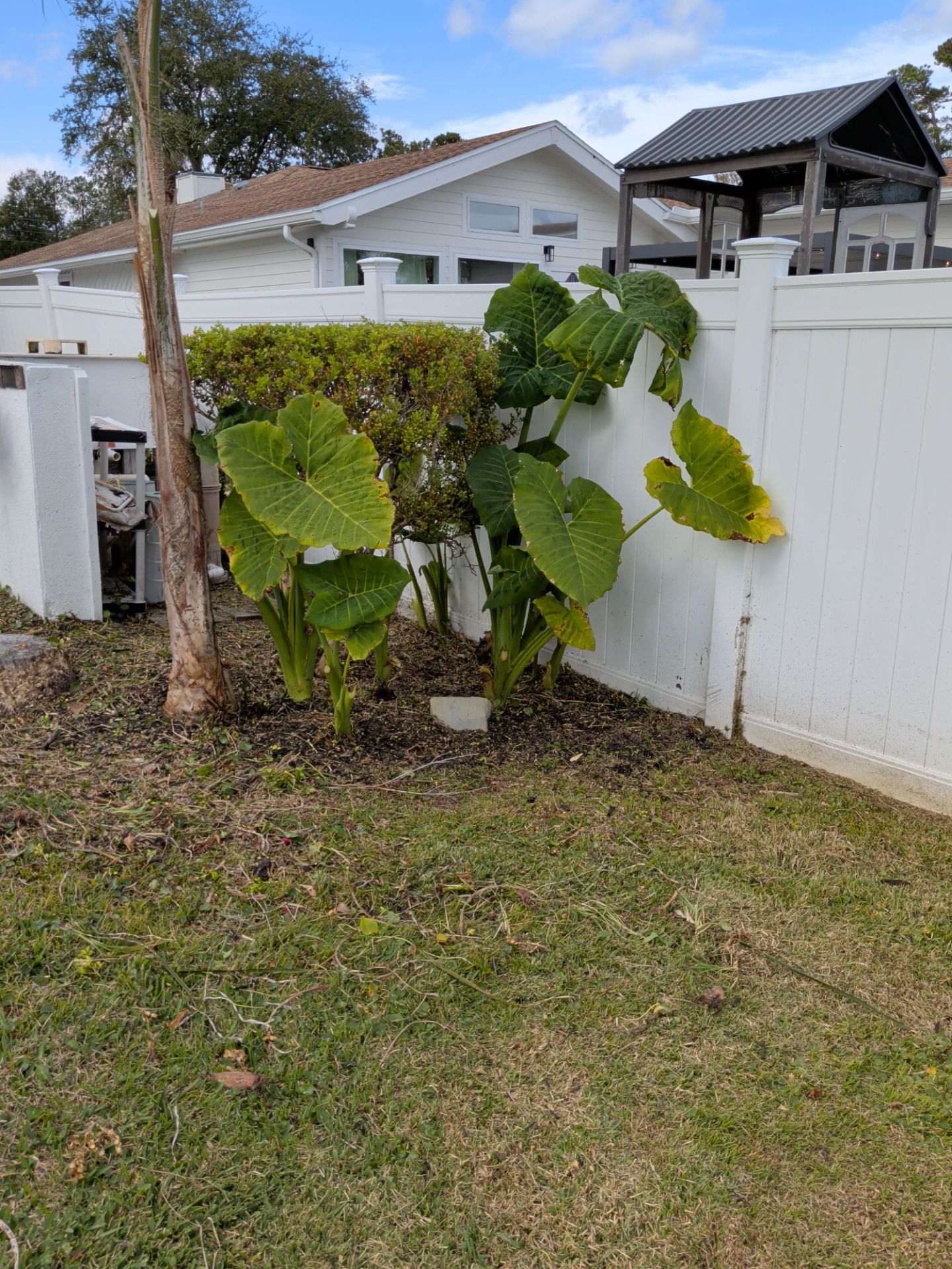 Flower Bed & Property Cleanup San Pablo area — Jacksonville Beaches, FL by Harmoni Home Services