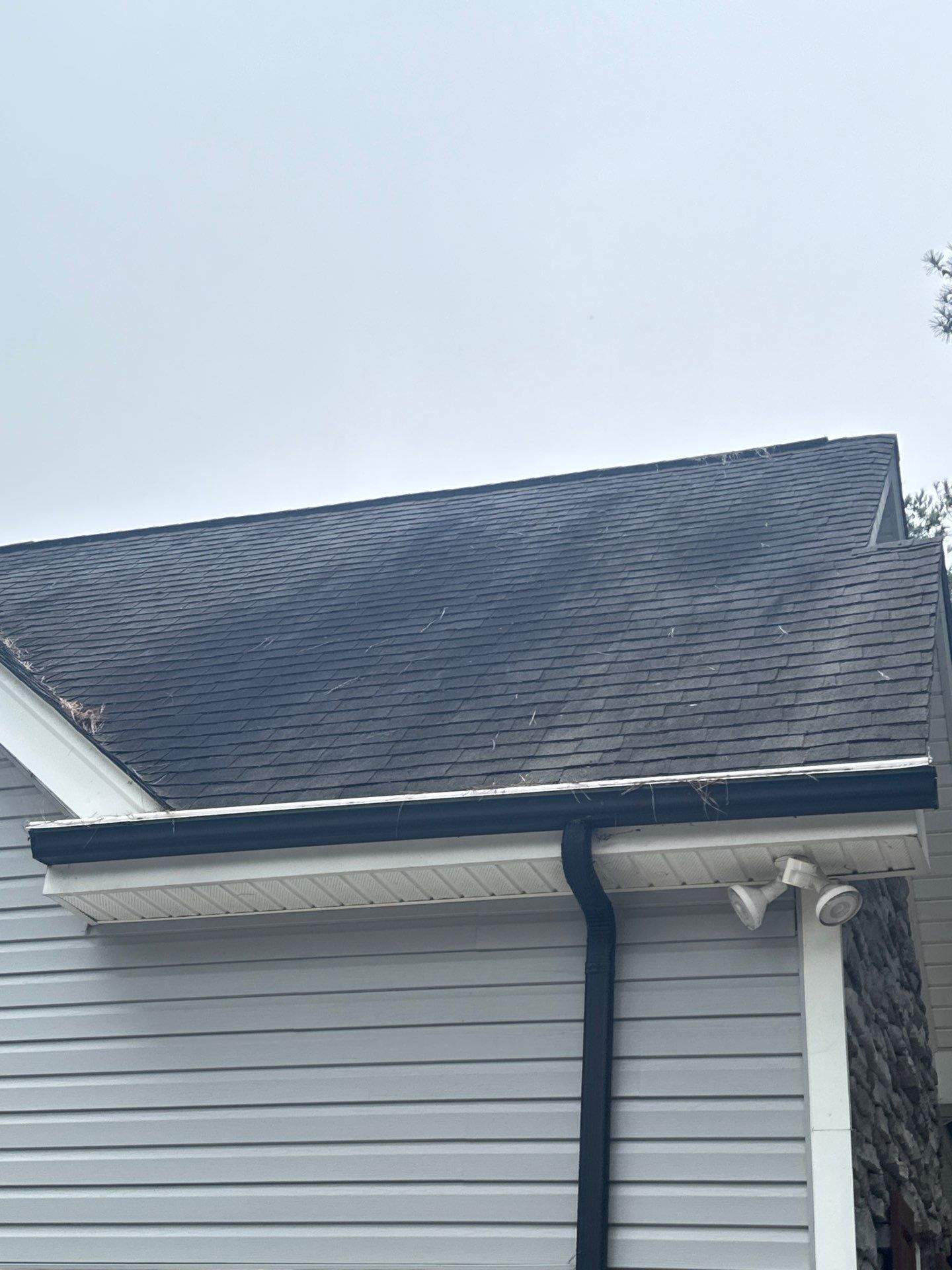 the service being done is roof washing to remove dirt debris and stains from shingles and gutters