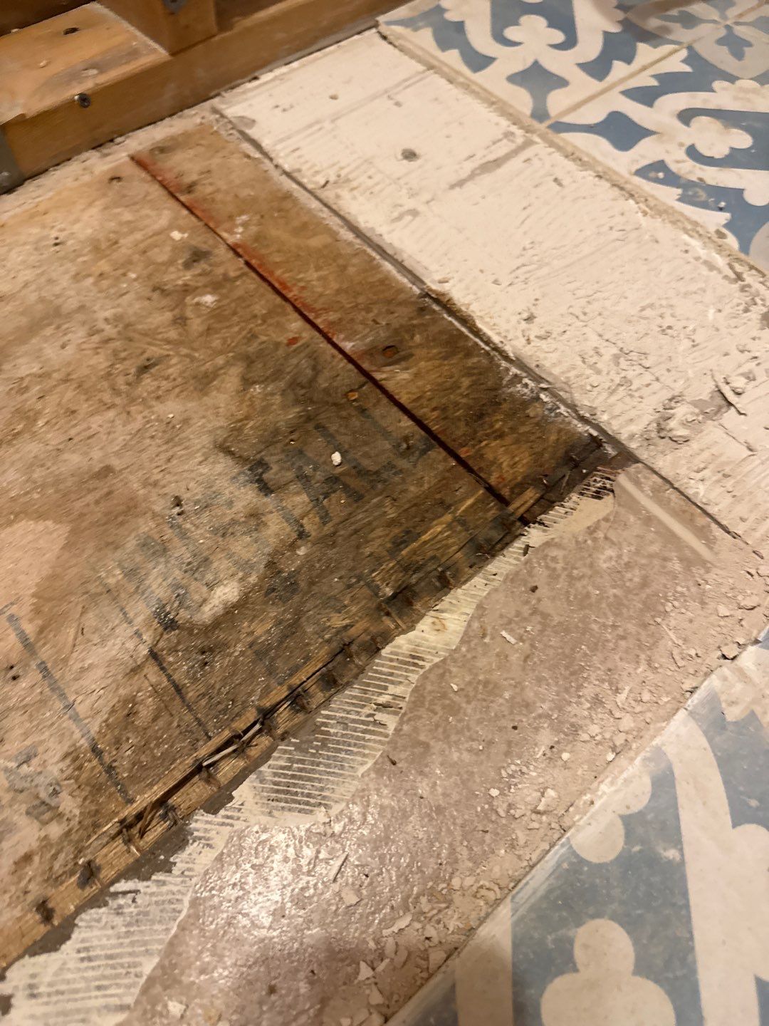 Bathroom and Crawlspace Water Damage and Mold by Healthy Home Solutions