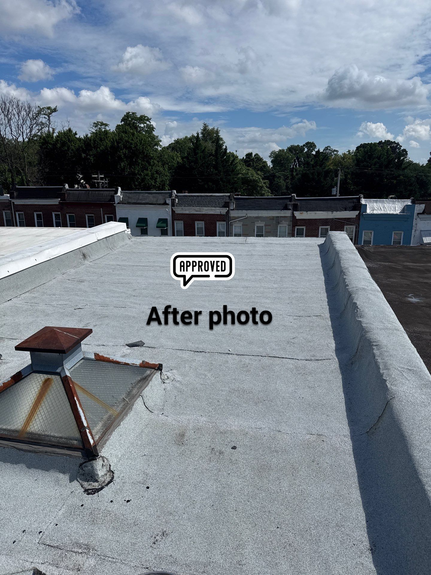 New Flat Roof by Alpha Design Services