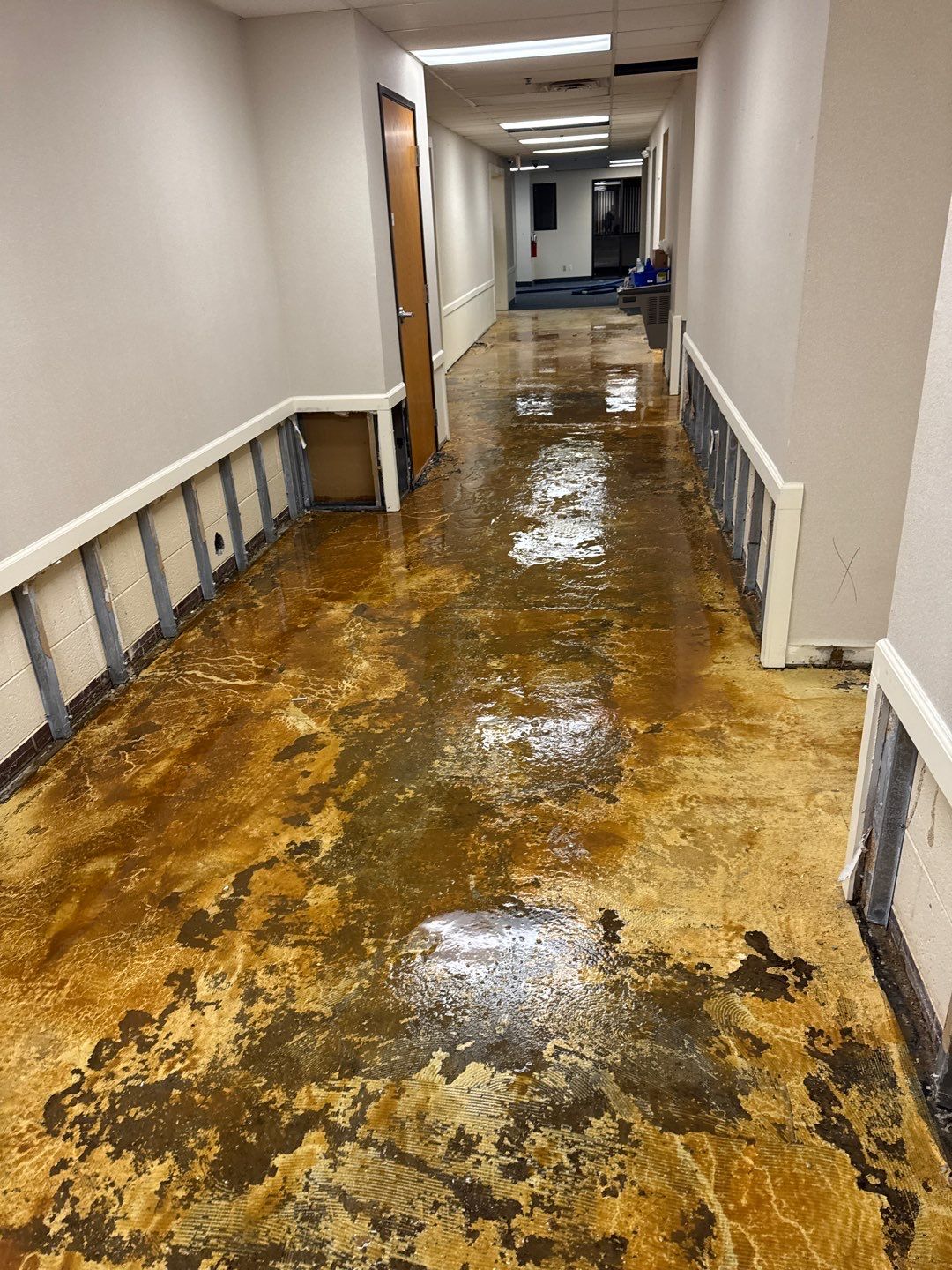 Project in Warren by EzDry Water Mitigation & Property Restoration