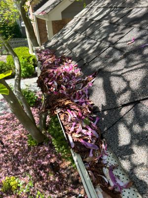 Turtle Shell gutter protection installation in Naperville, IL 60565, photograph 3