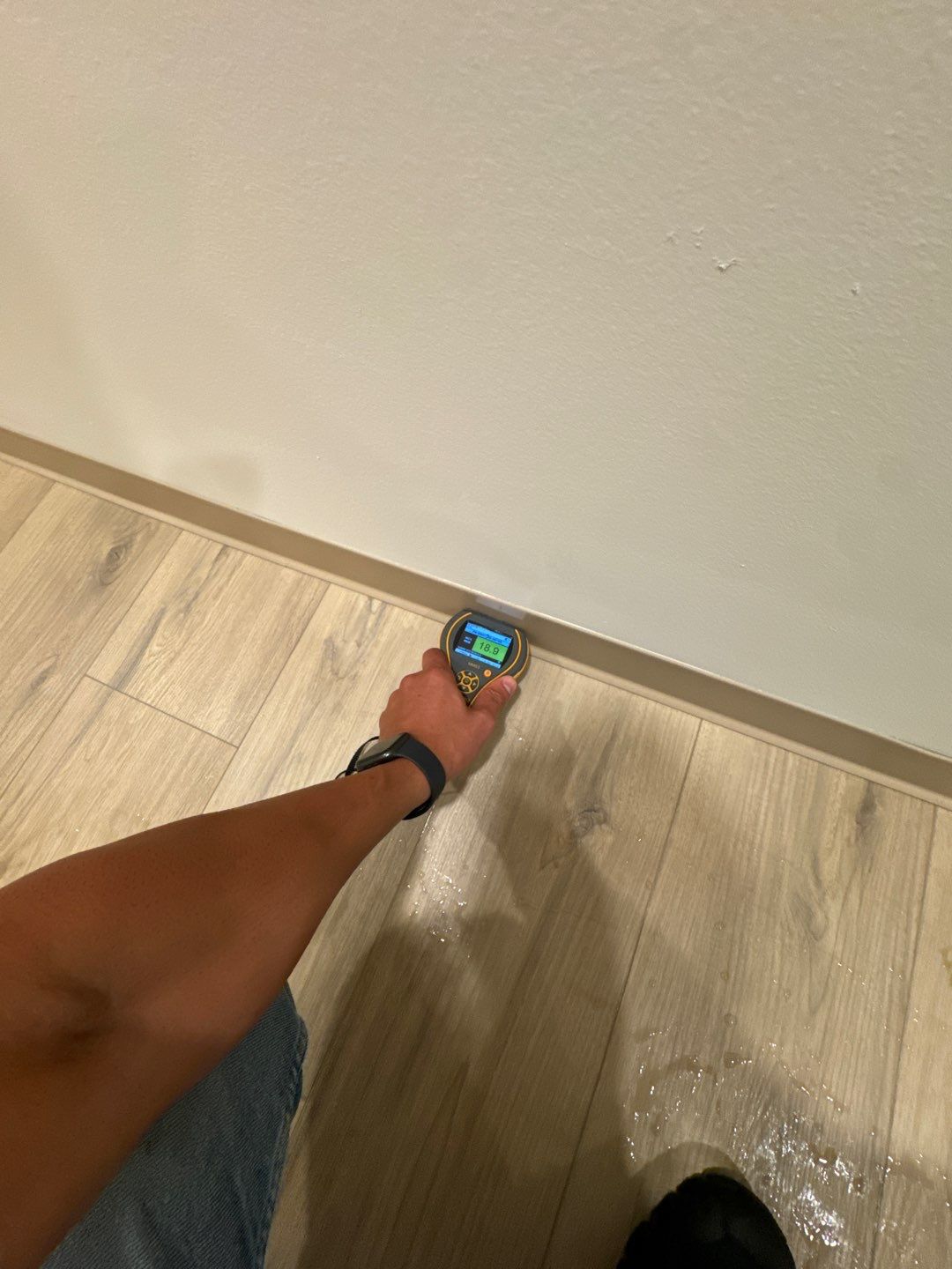 Project in Southfield by EzDry Water Mitigation & Property Restoration