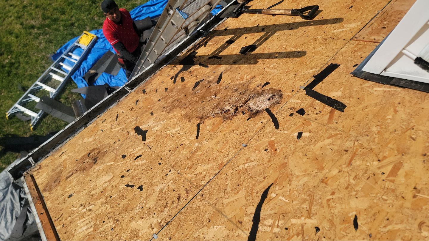 Roof Installation using GAF Timberline HDZ by ExteriorPros