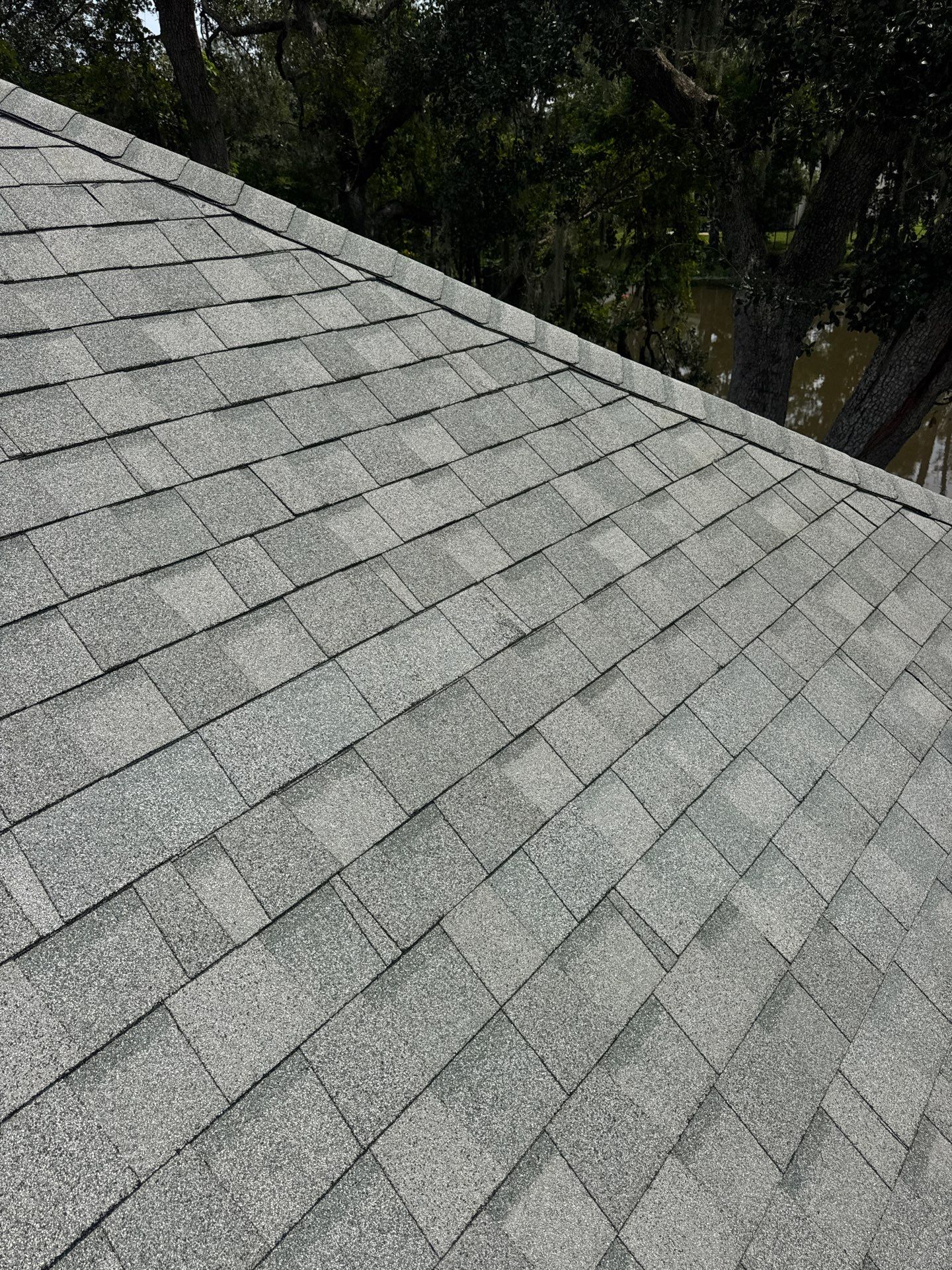 Gray Architectural Shingle Roof Replacement for Orange Park Residence by Avenue Roofing