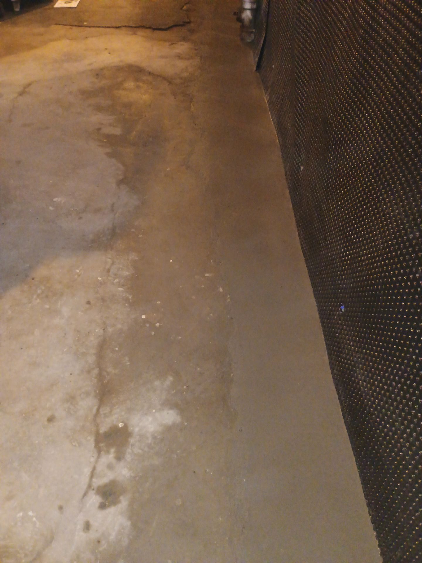 Updating Taylor's Waterproofing System by Waterproofing Northeast