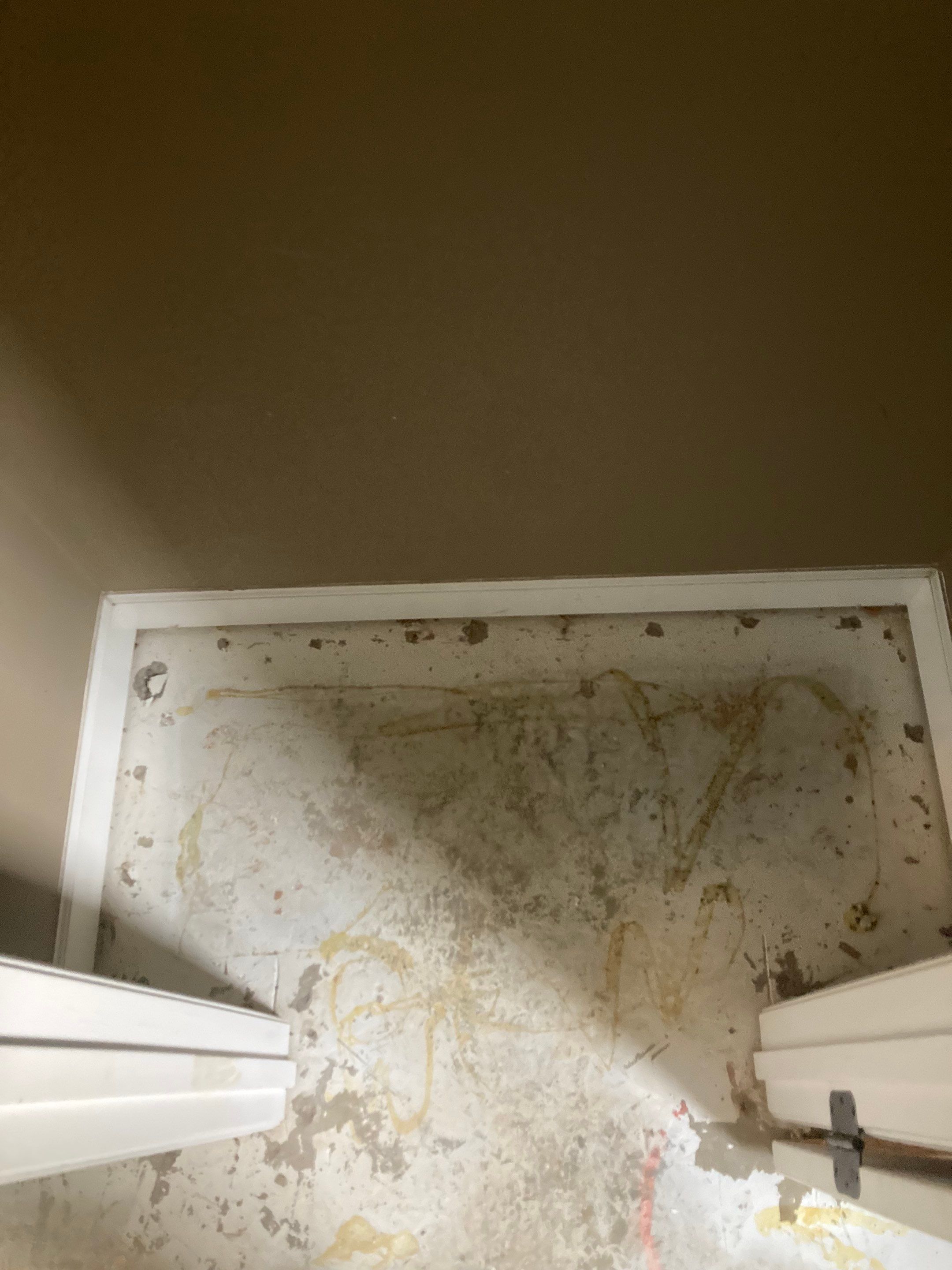 Engineered Hardwood Install by Footprints Floors of Nashville