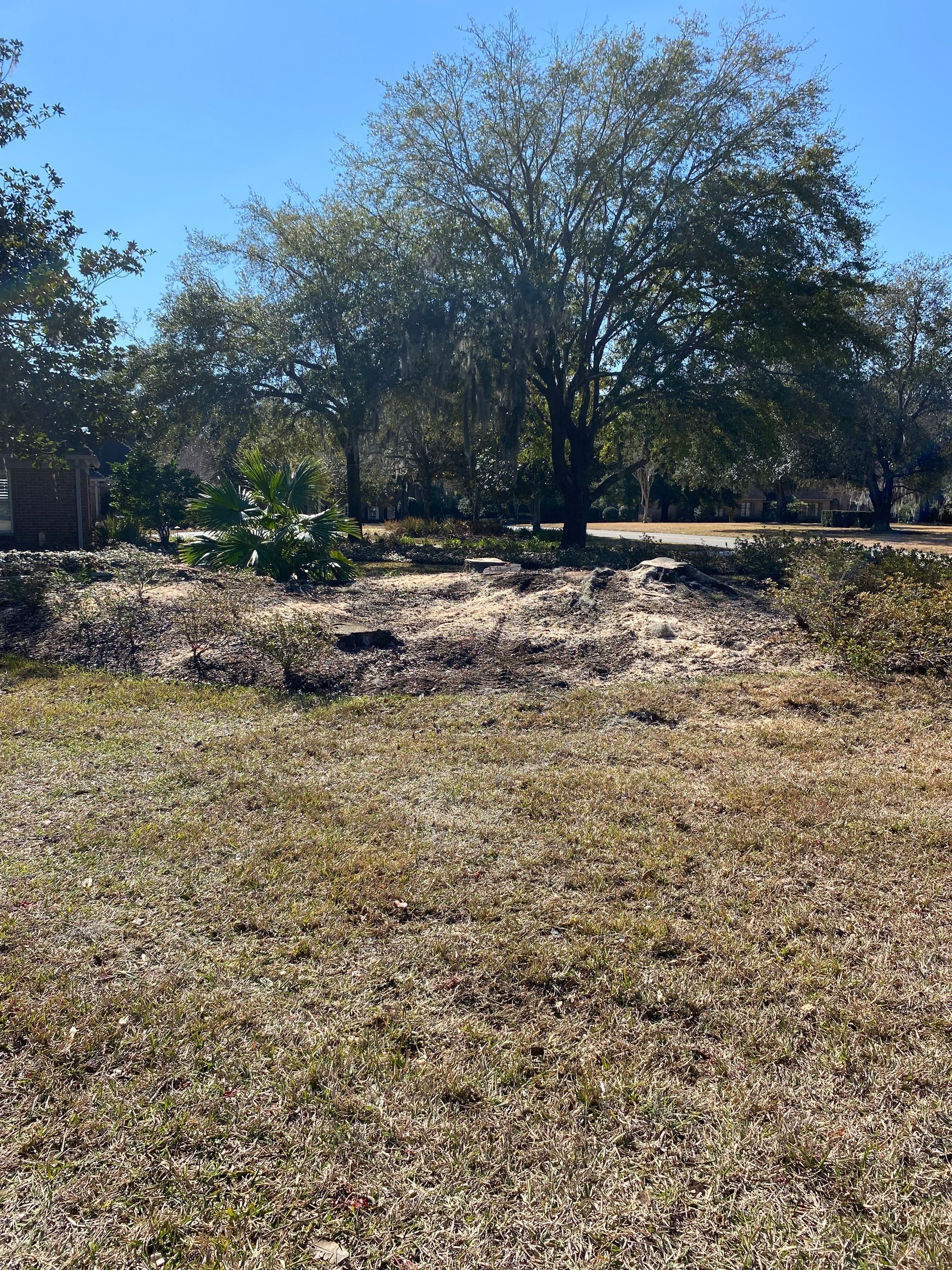Deerwood Resident | Tree Removal & Mulch Install by ProGreen Services