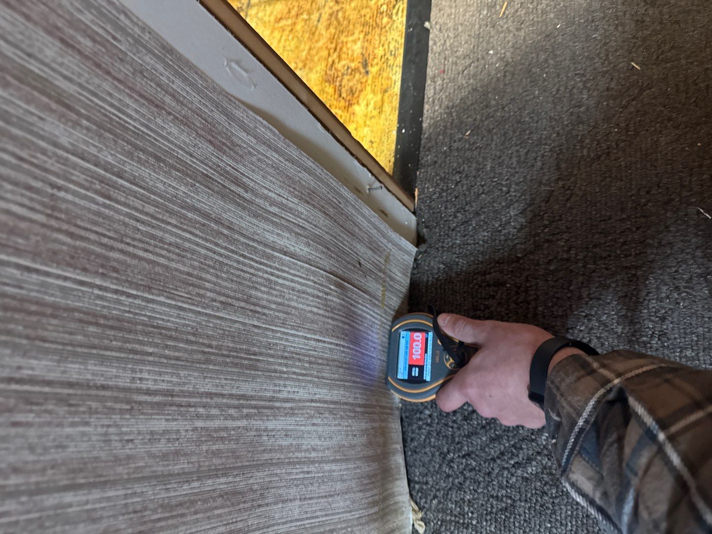 Project in Royal Oak by EzDry Water Mitigation & Property Restoration