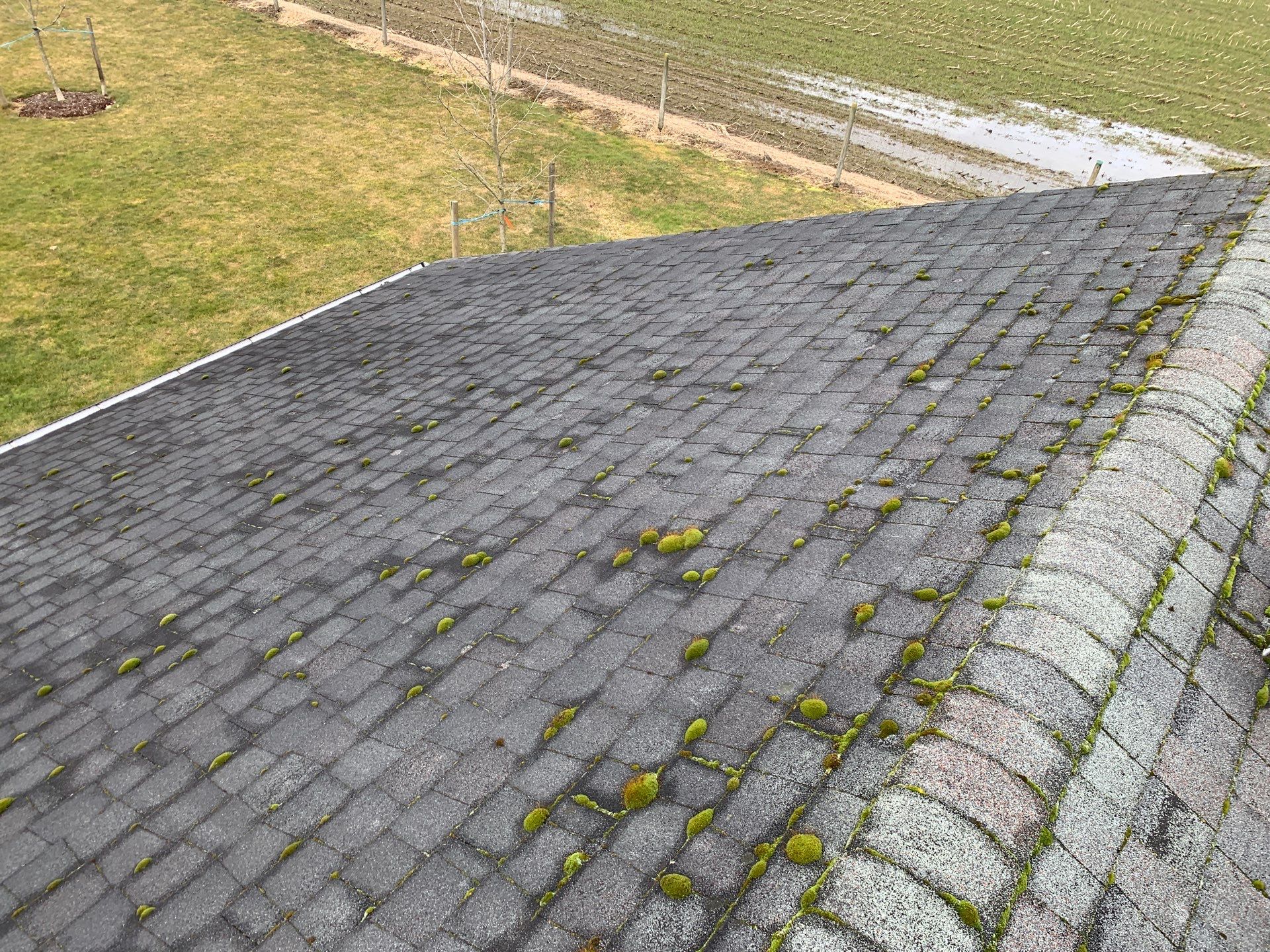 Residential Shingle Re-Roof by Top Notch Roofing Inc