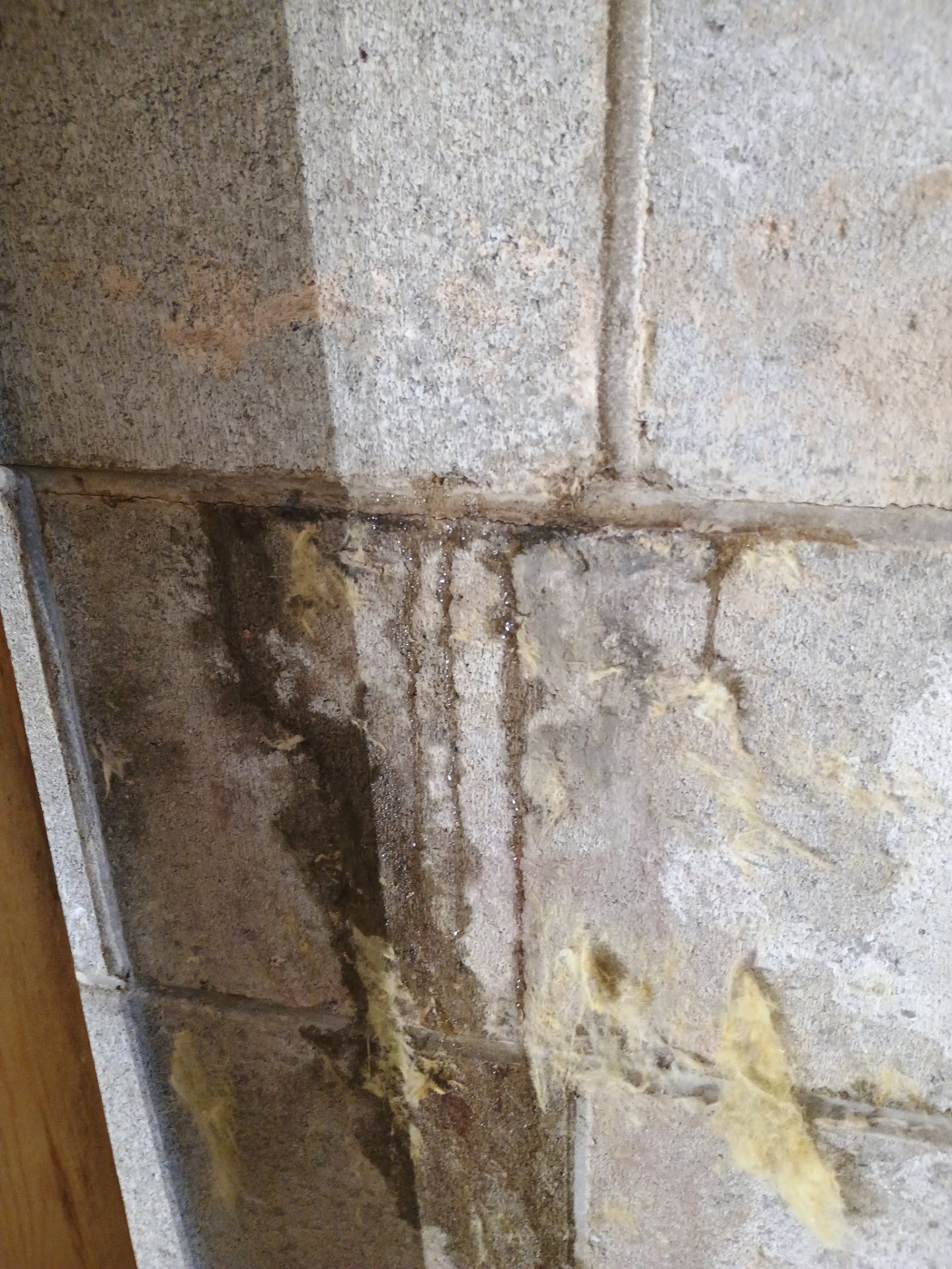 Retrofitting Drainage Board in Lino Lakes by Waterproofing Northeast