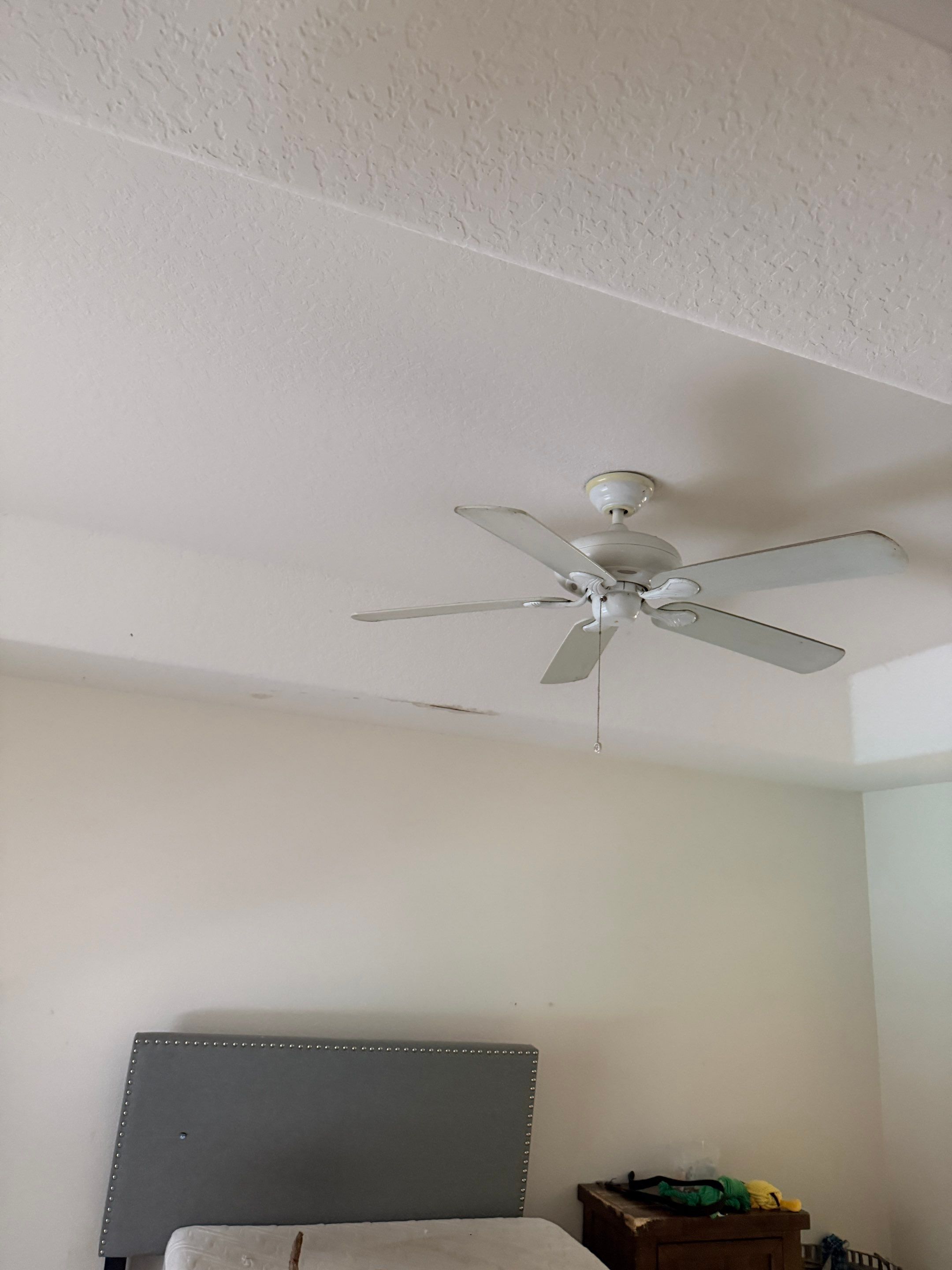 Mold Damage Inspection And Removal In North Port, FL by Ampm Restoration Services