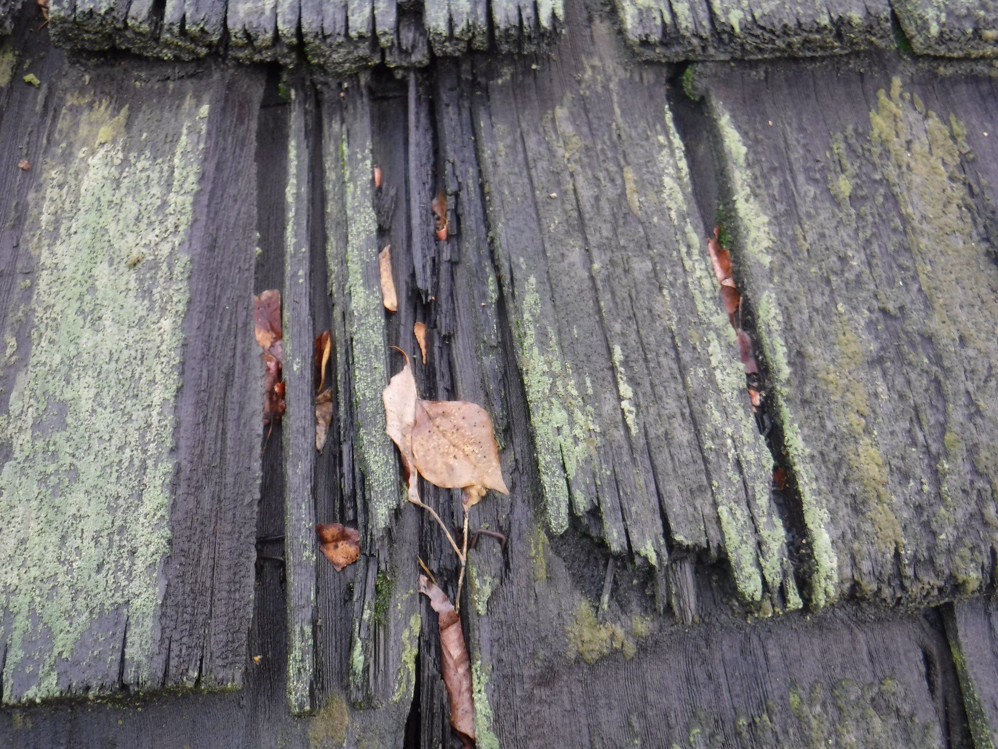 Attic Insulation, LeafGuard Gutters, and a new roof. by Byers Enterprises 