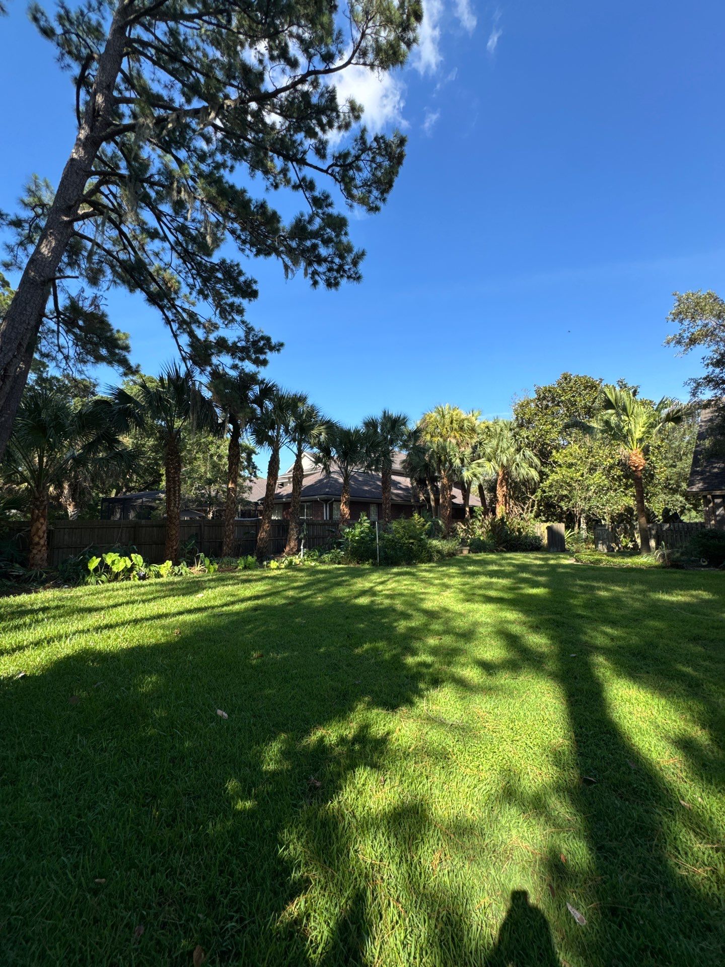Deerwood Resident | Palm Tree Trimming & Booting by ProGreen Services