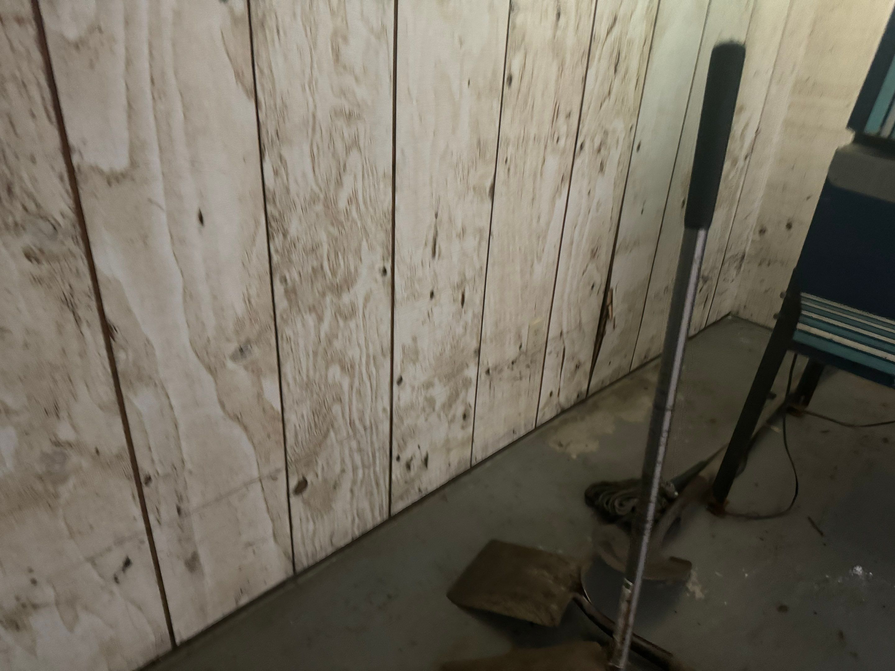 Basement Mold Remediation by Home Guarantee, LLC