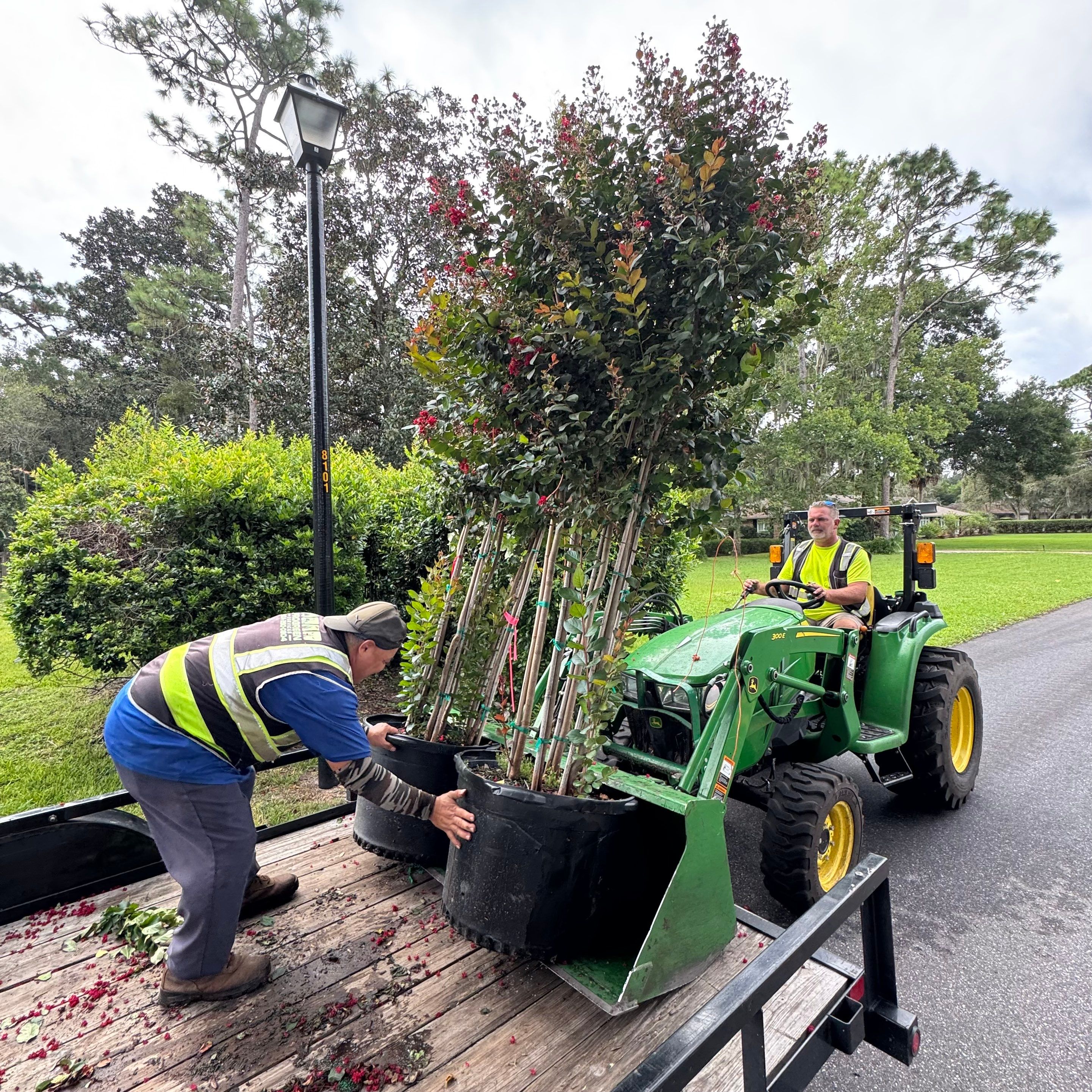 Sod & Landscape Install | Deerwood Community by ProGreen Services