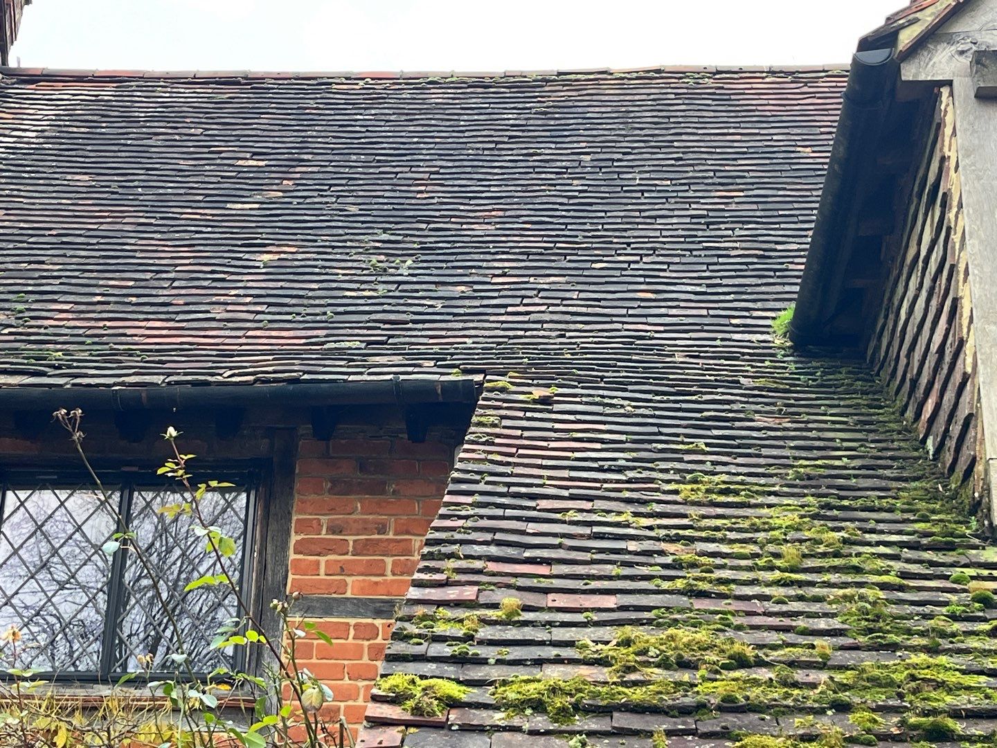 Roof Clean  - Moss Removal - Gutter Clean using Honda 15lpm Low Pressure Washing Machine by Ges Exterior Cleaning ltd
