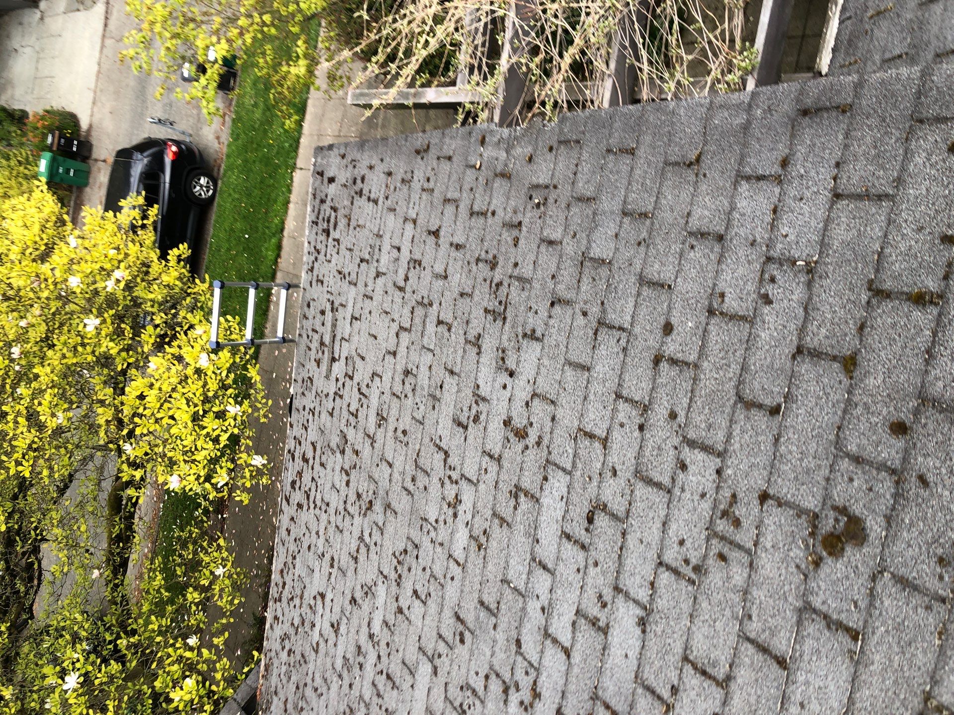 Project in Seattle by Connolly Construction Company