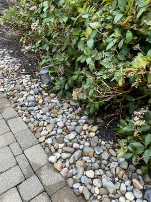 Gutter Cleaning in Succasunna, NJ — Gallo Bros job photo
