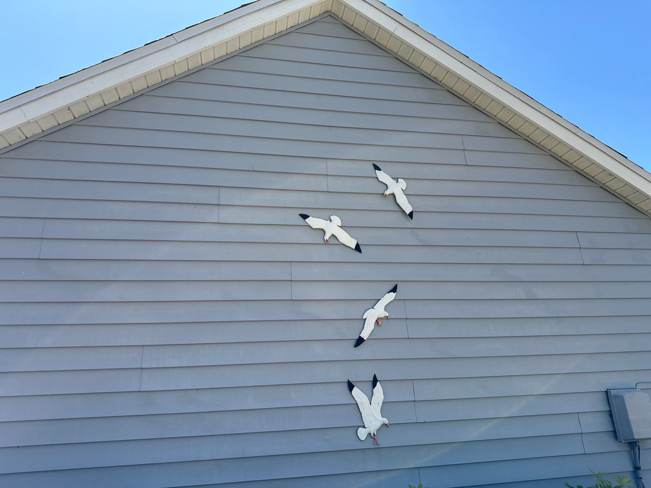 π‘ From Green to Clean! π Epic House & Pool Cage Cleaning on the Manatee River | Ellenton, FL π¦ by Sunshine AquaWash