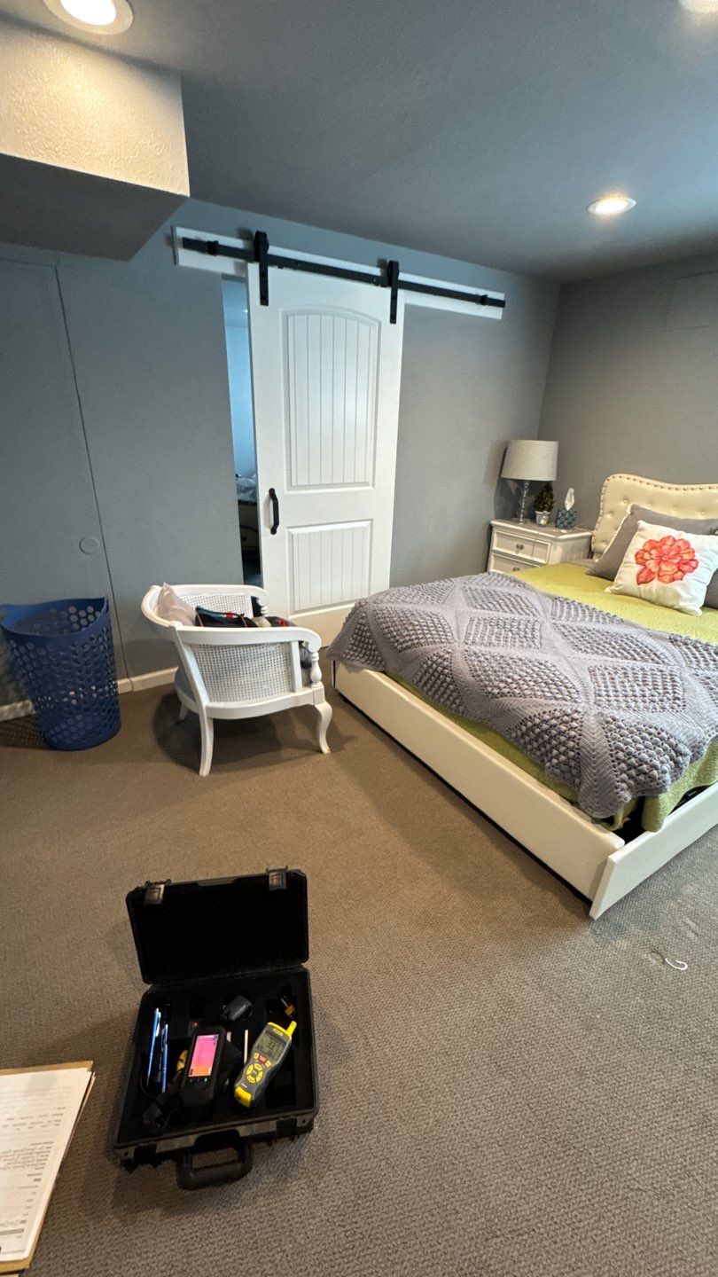 Mold Project in Thornton by Accountable Home Services