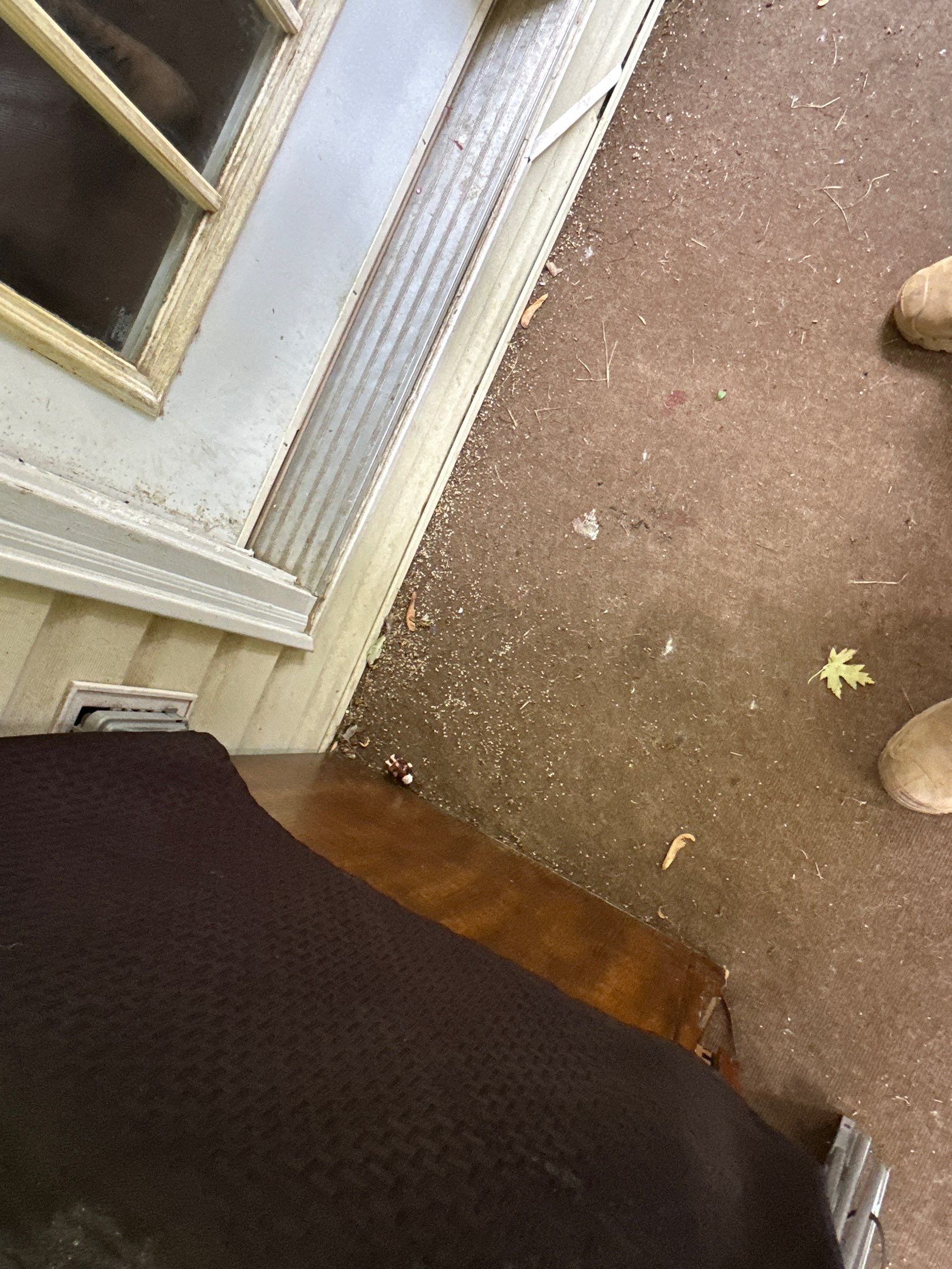 Jonathon Salmons Hail & Tree Damage Report by Constructive Project Management